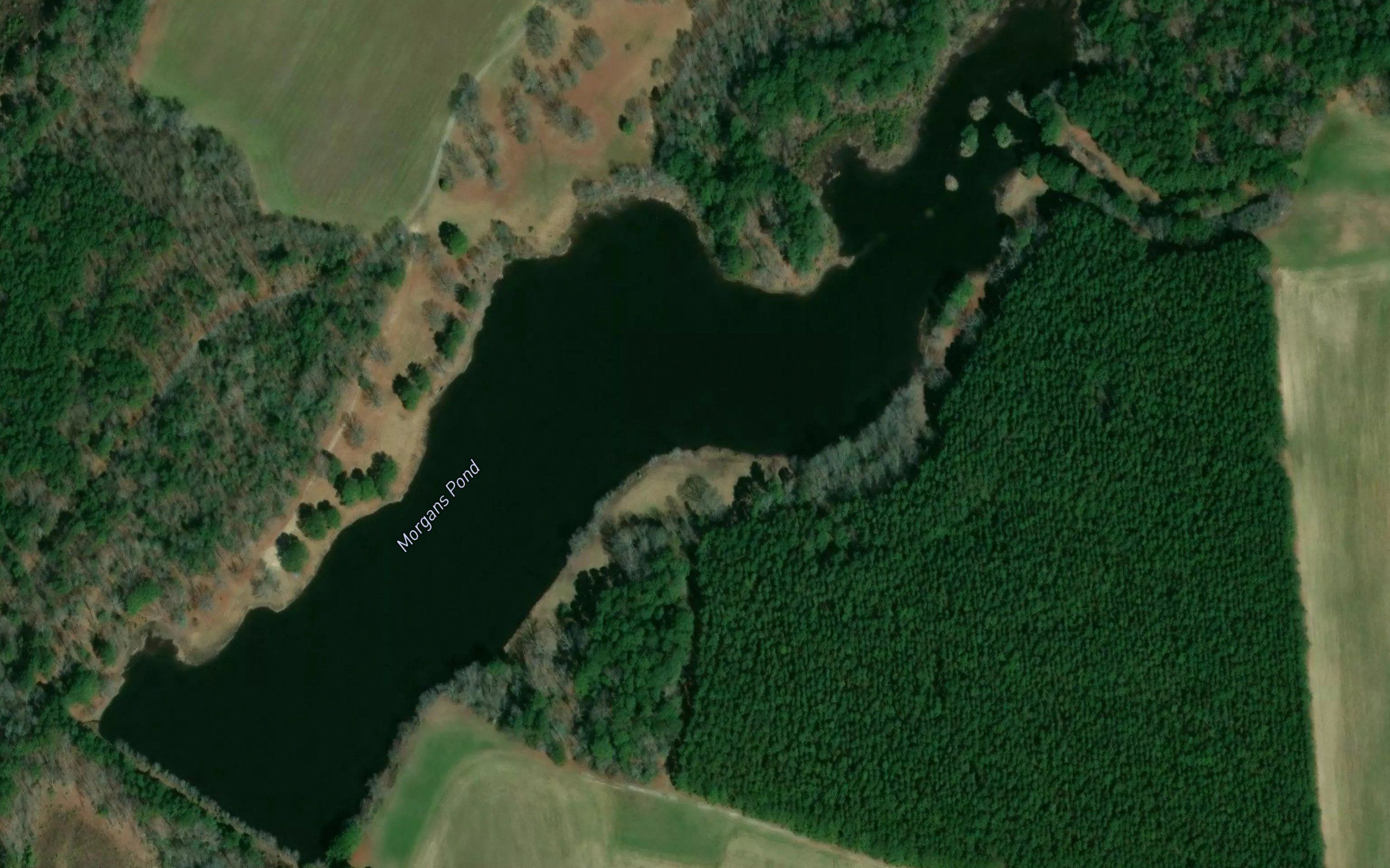 Morgans Pond