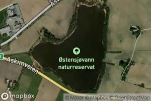 Ostensjovatnet