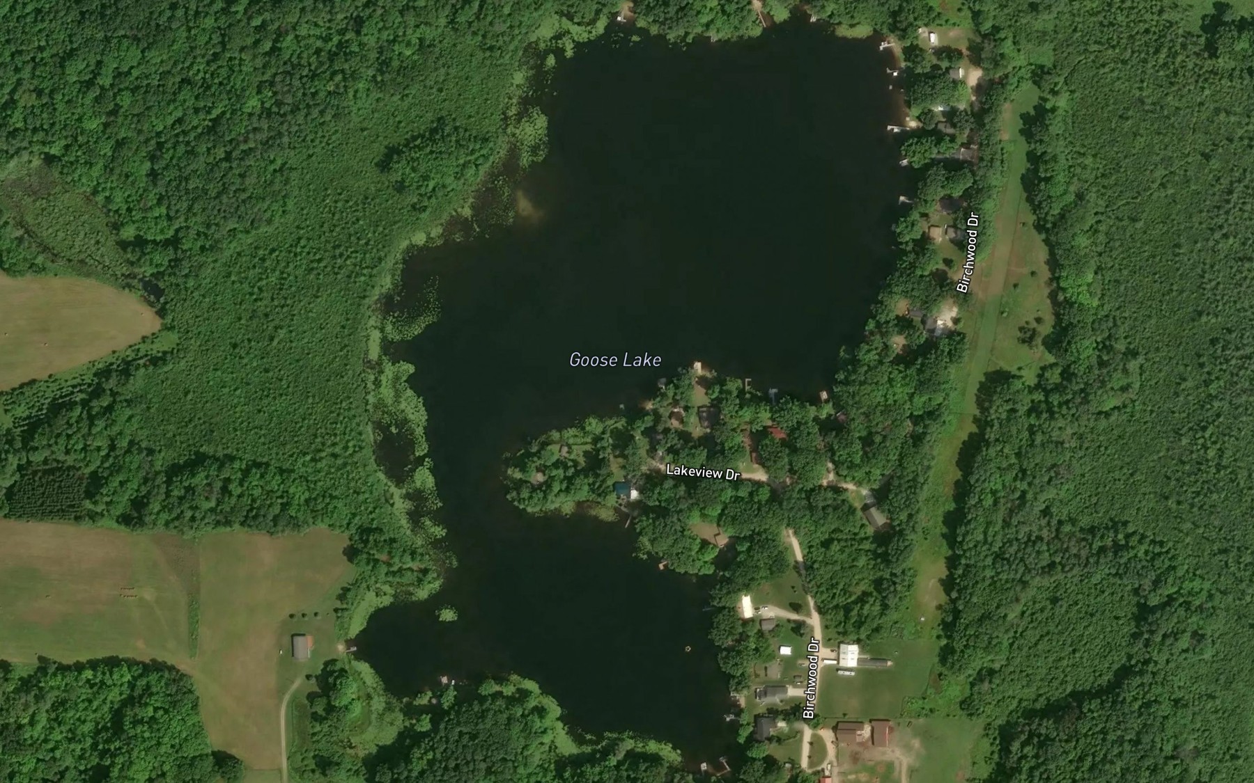 Satellite map of the Goose Lake