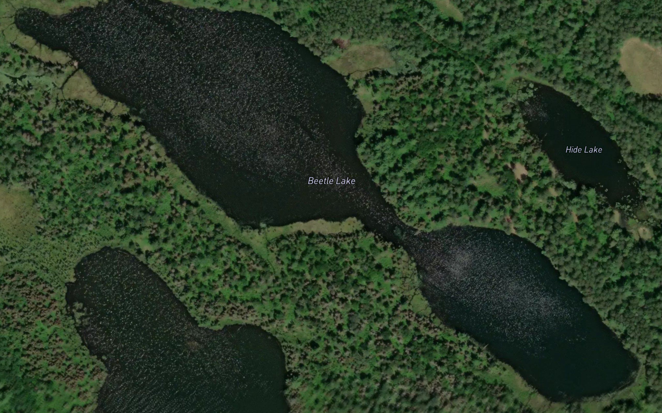 Beetle Lake