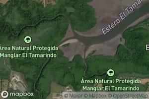 Estero El Tamarindo