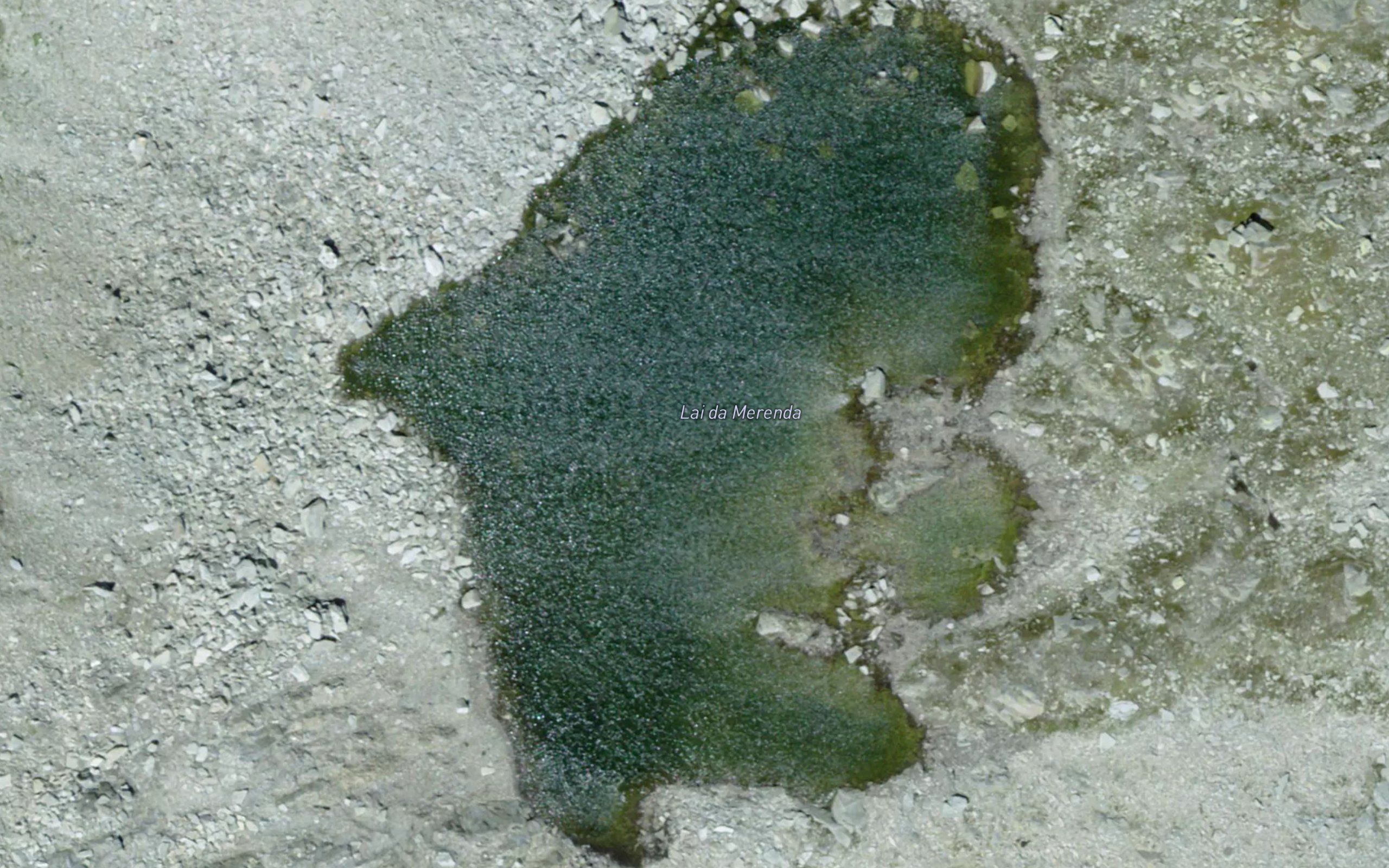 Lai da Marenda