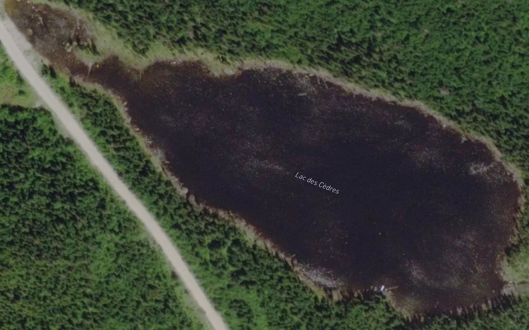 Satellite map of the Lac des Cedres