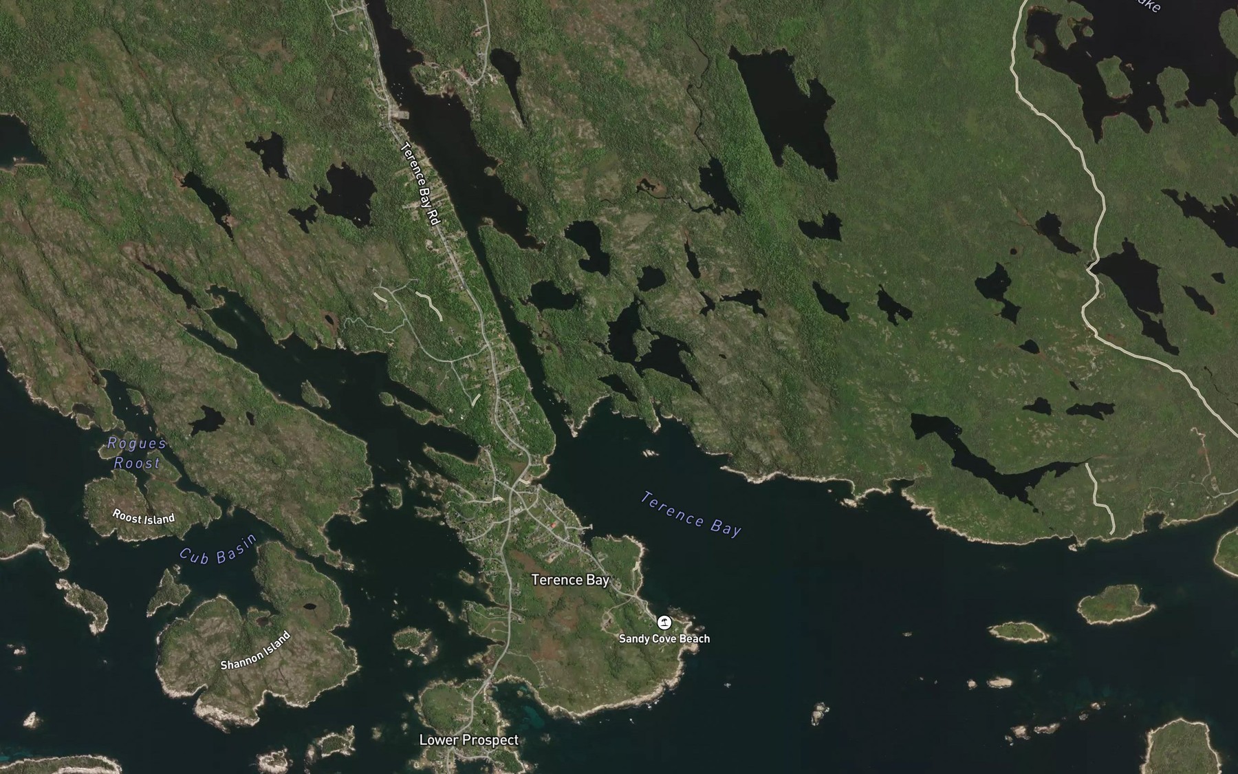 Satellite map of the Loon Cove Lake