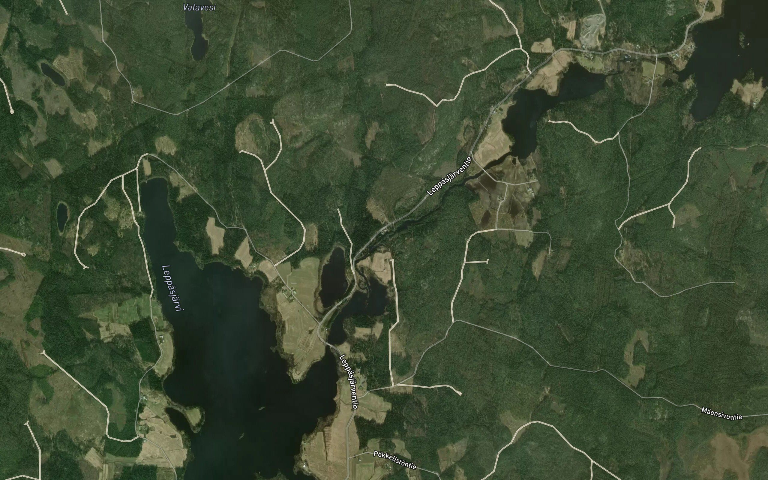 Leppaskoski