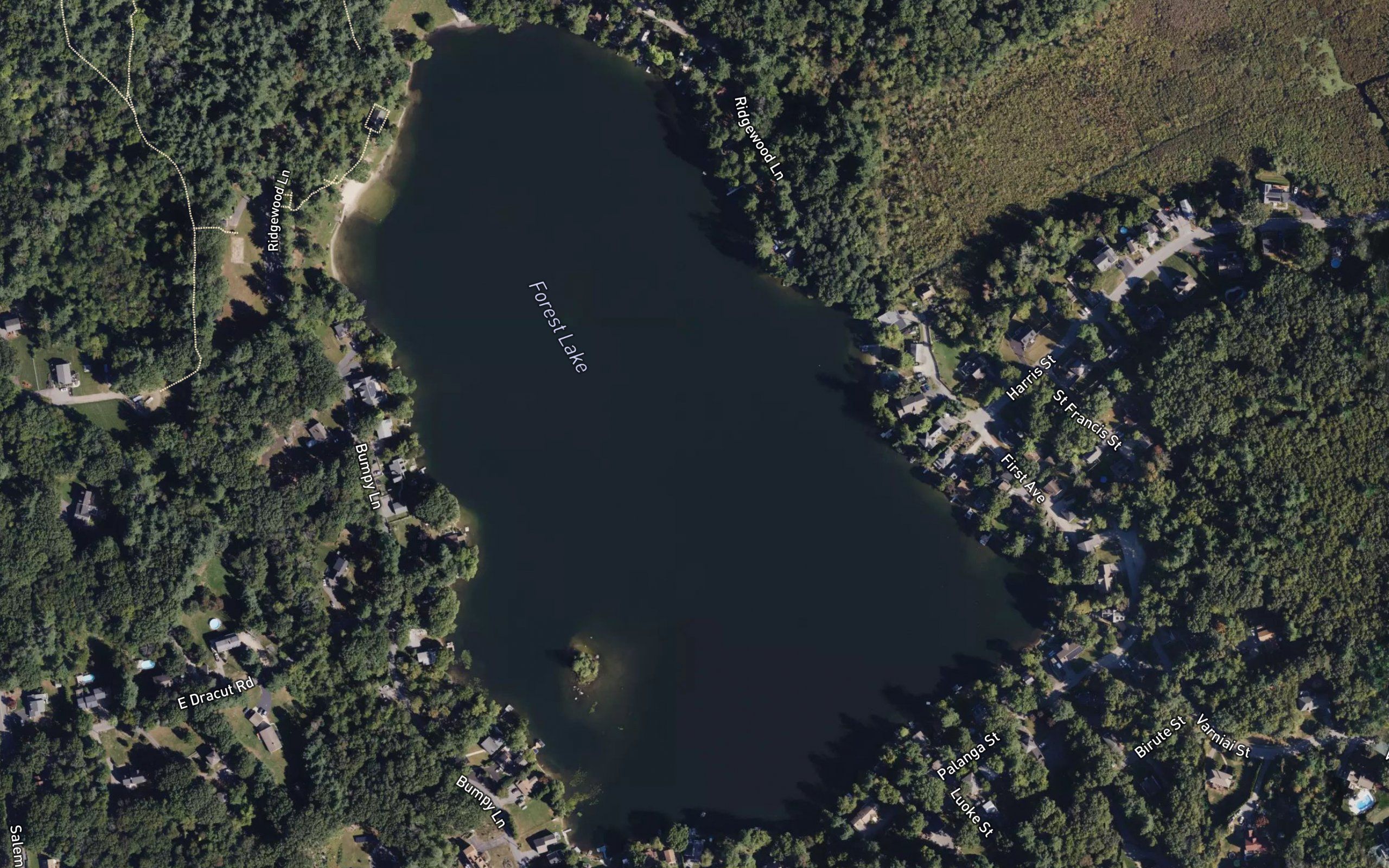 Forest Lake