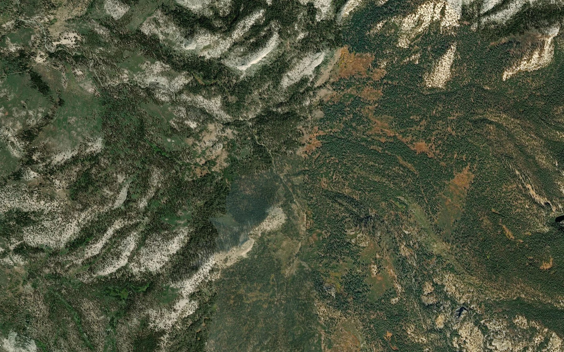 Satellite map of the Buena Vista Creek