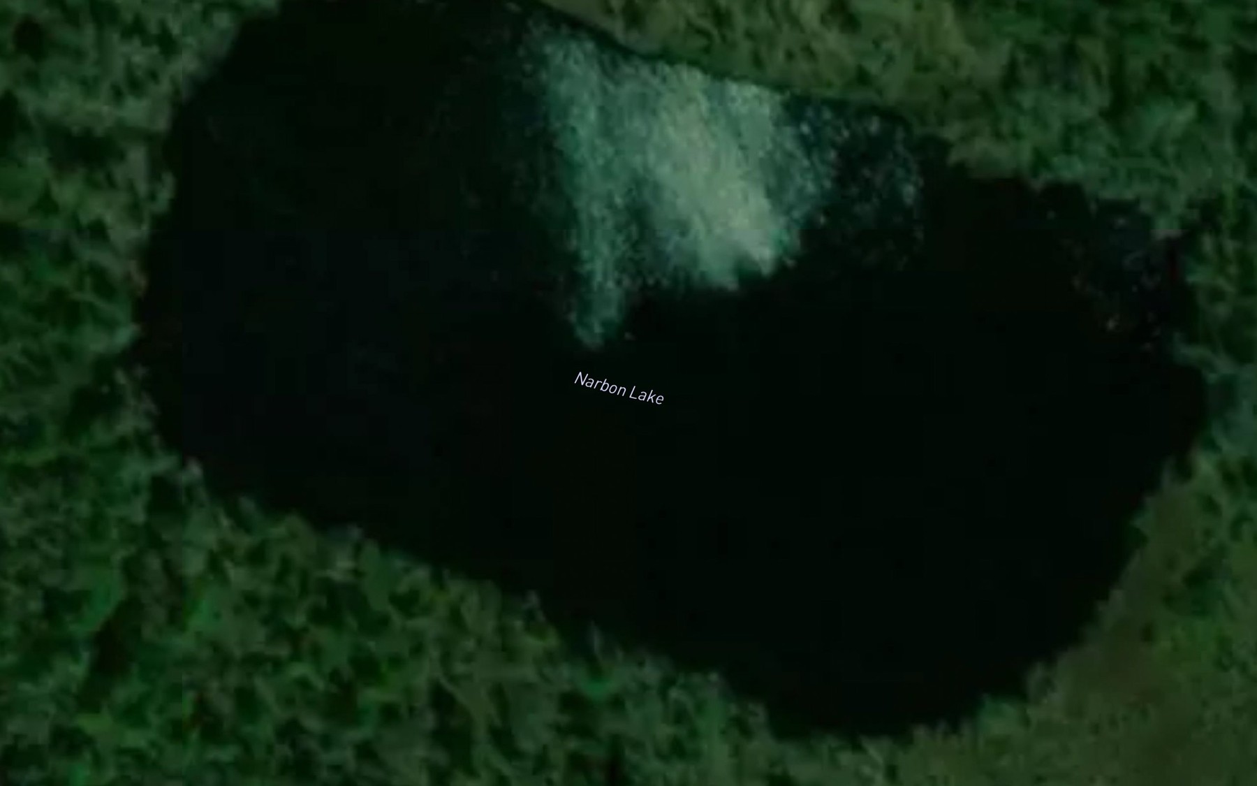 Satellite map of the Narbon Lake