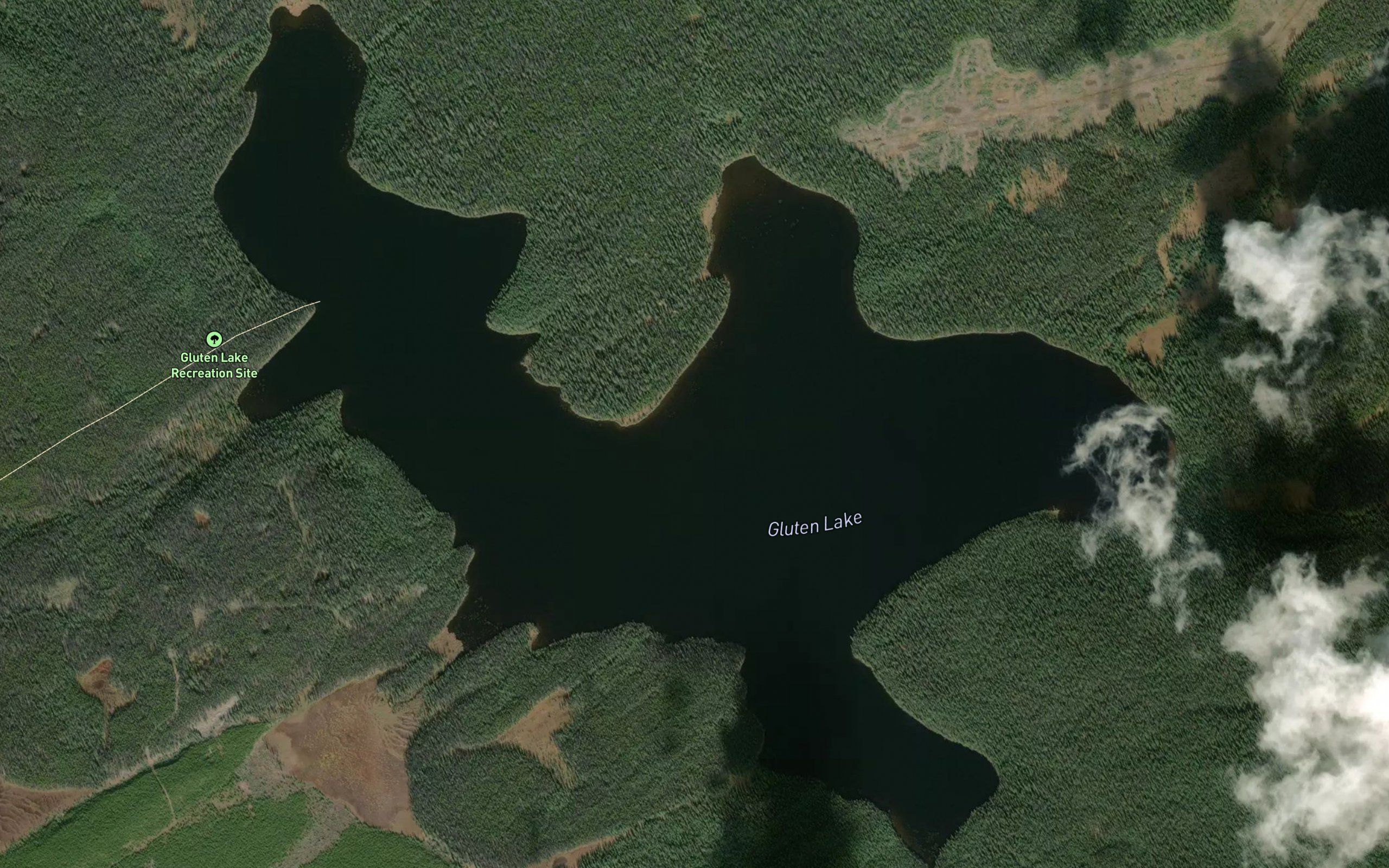 Gluten Lake
