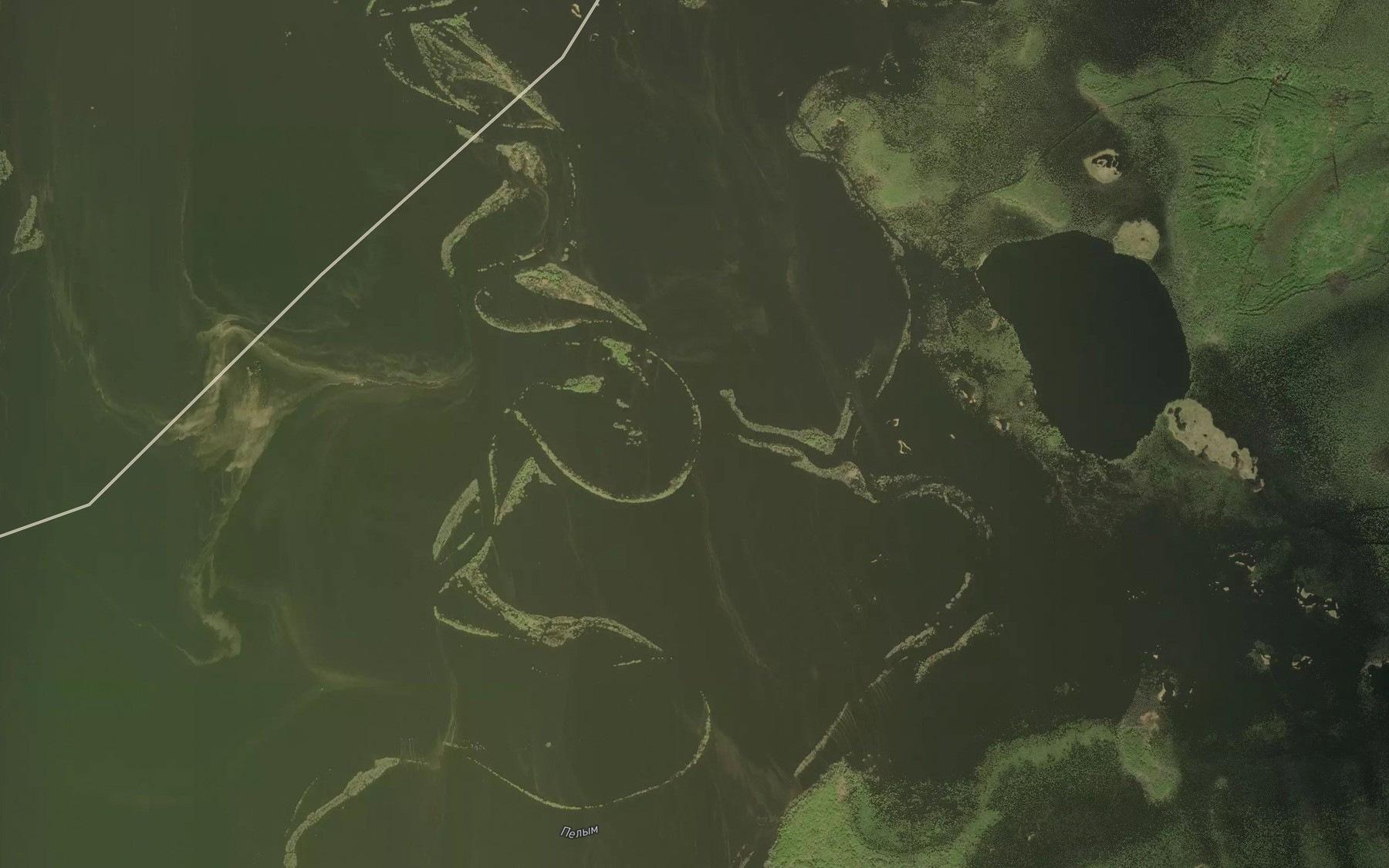 Satellite map of the Letnyaya