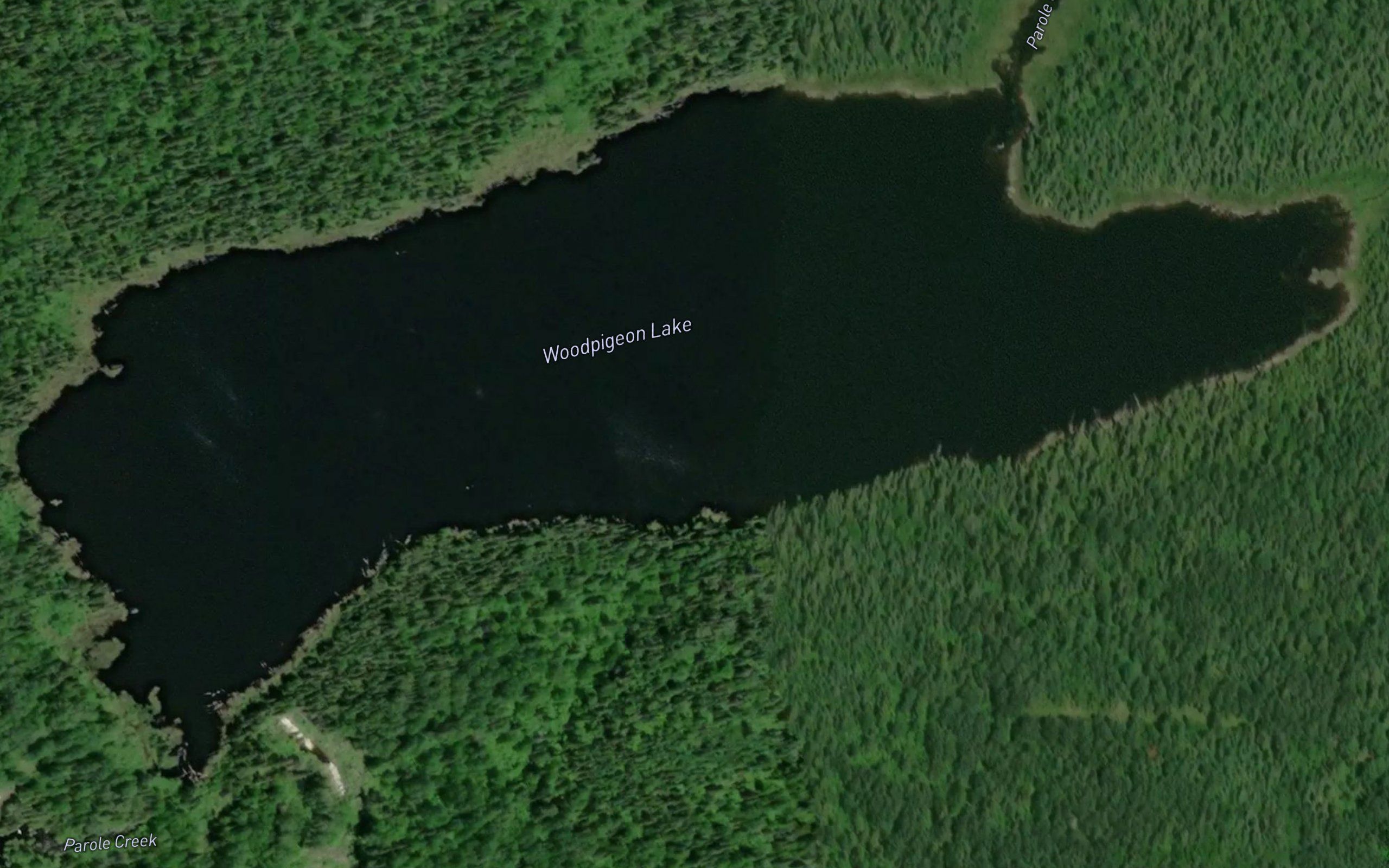 Woodpigeon Lake