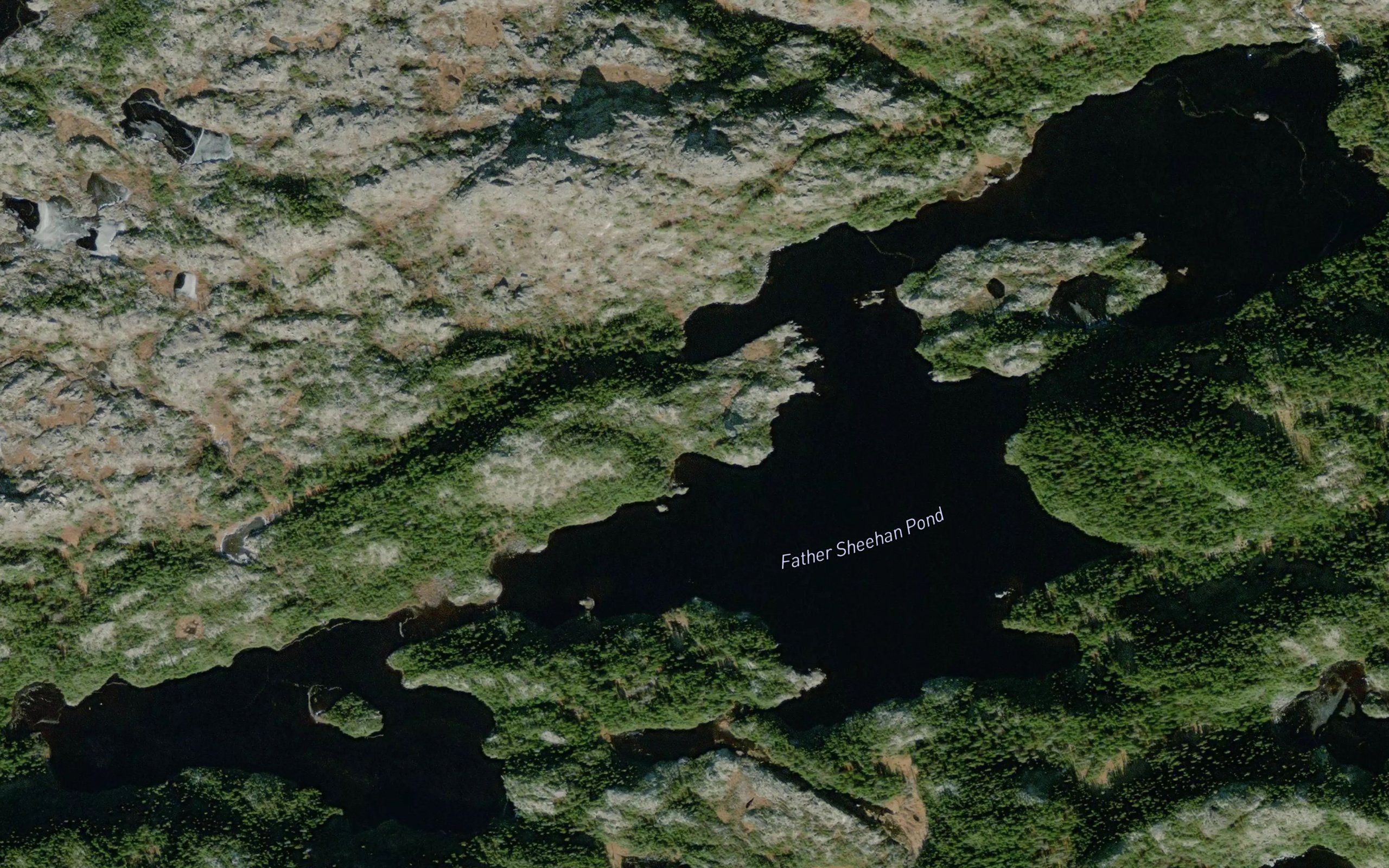 Father Sheehan Pond