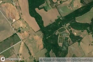 Alligator Creek
