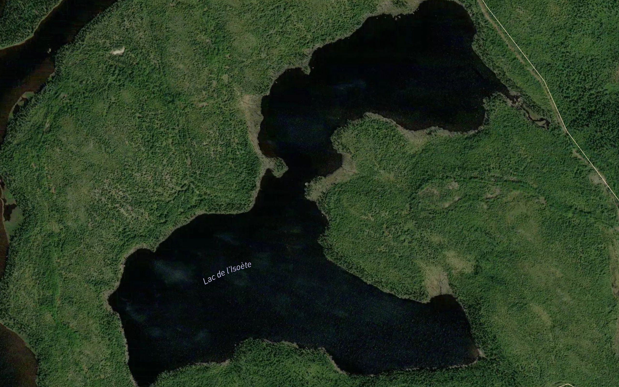 Lac de l'Isoete