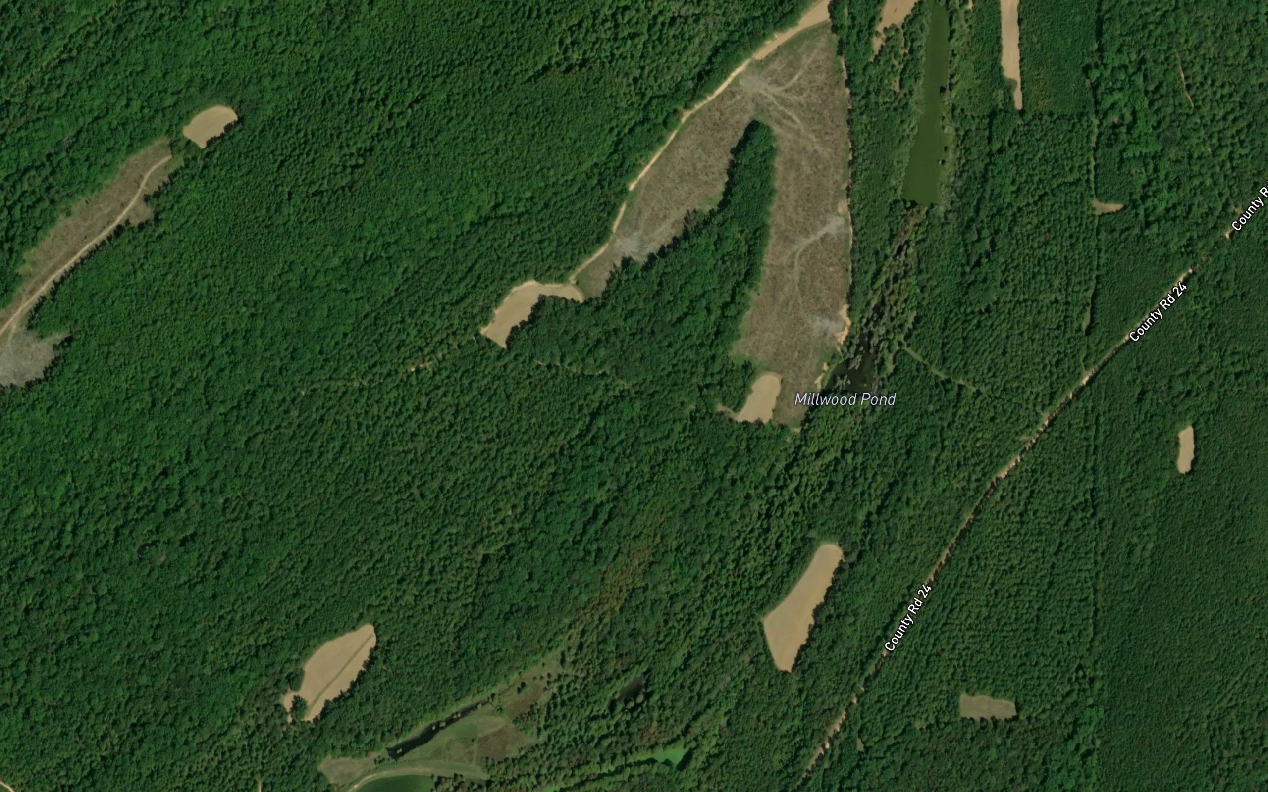 Millwood Pond