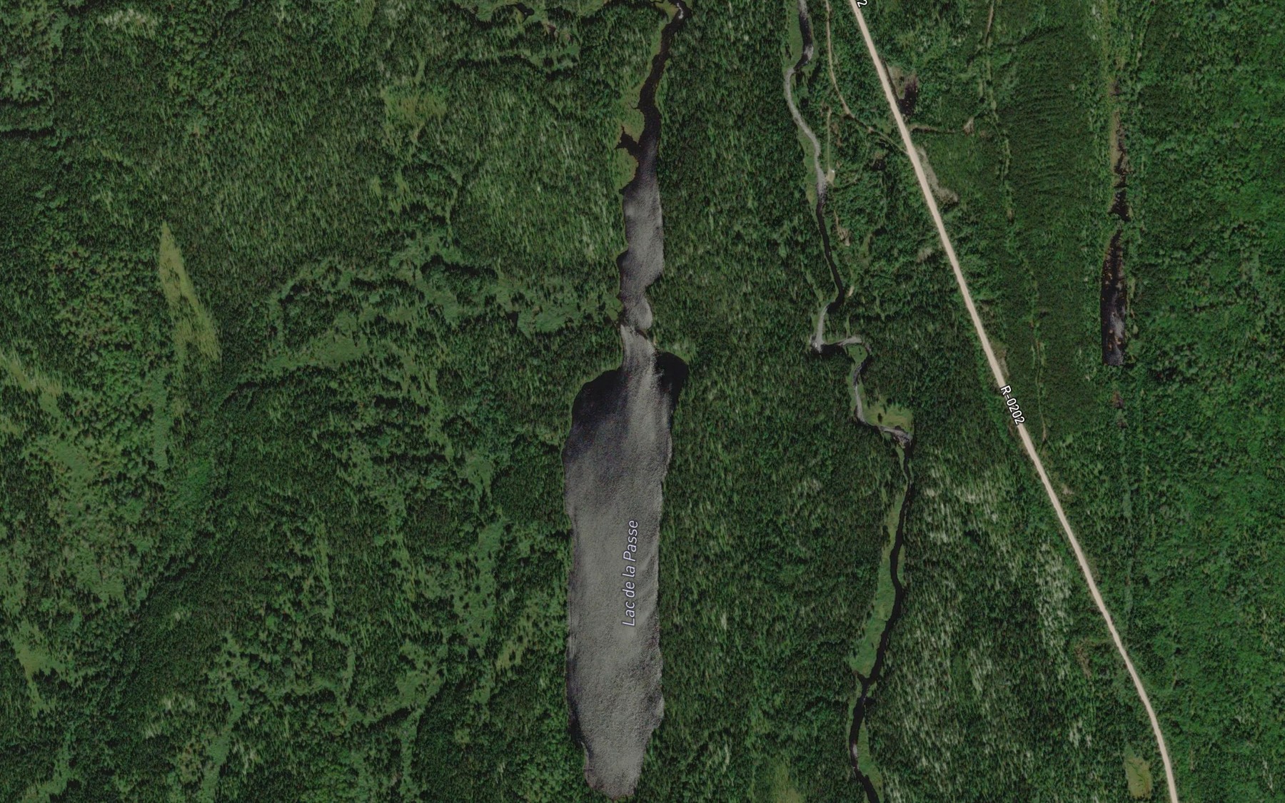 Satellite map of the Lac de la Passe