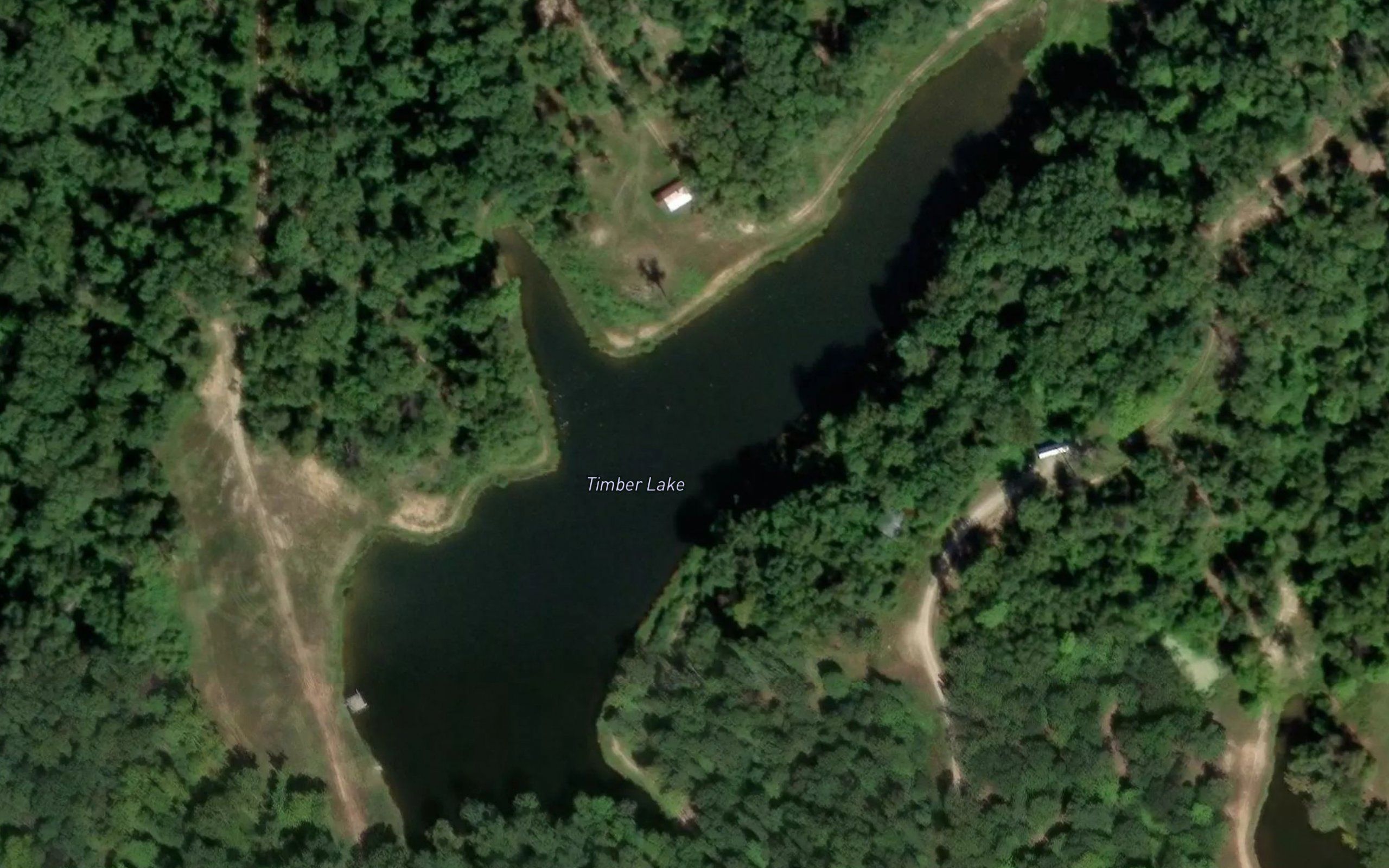 Timber Lake