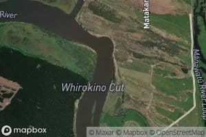 Whirokino Cut