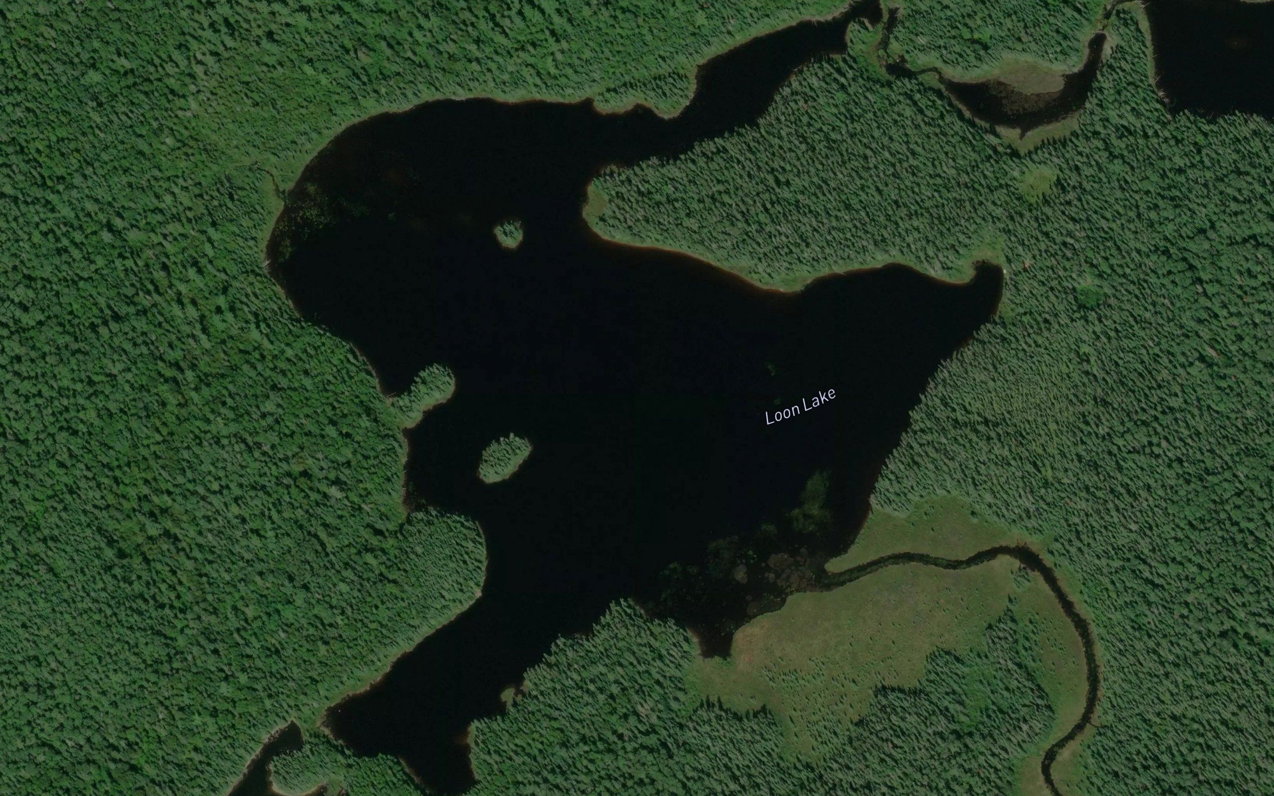 Loon Lake