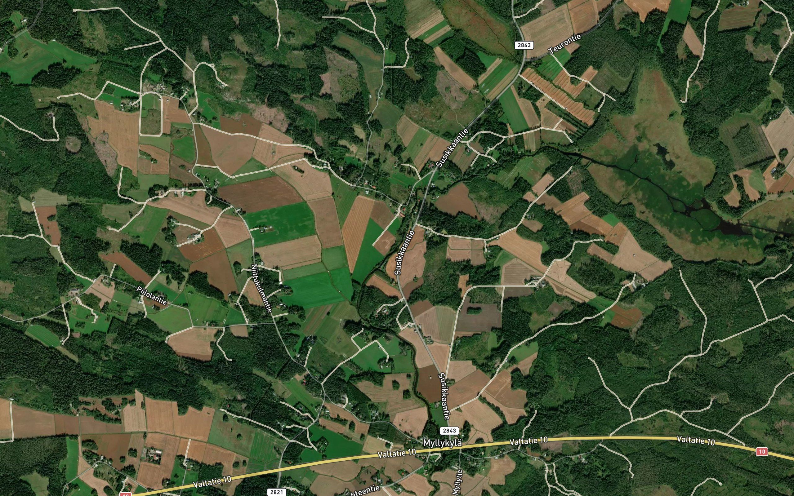 Rotinoja