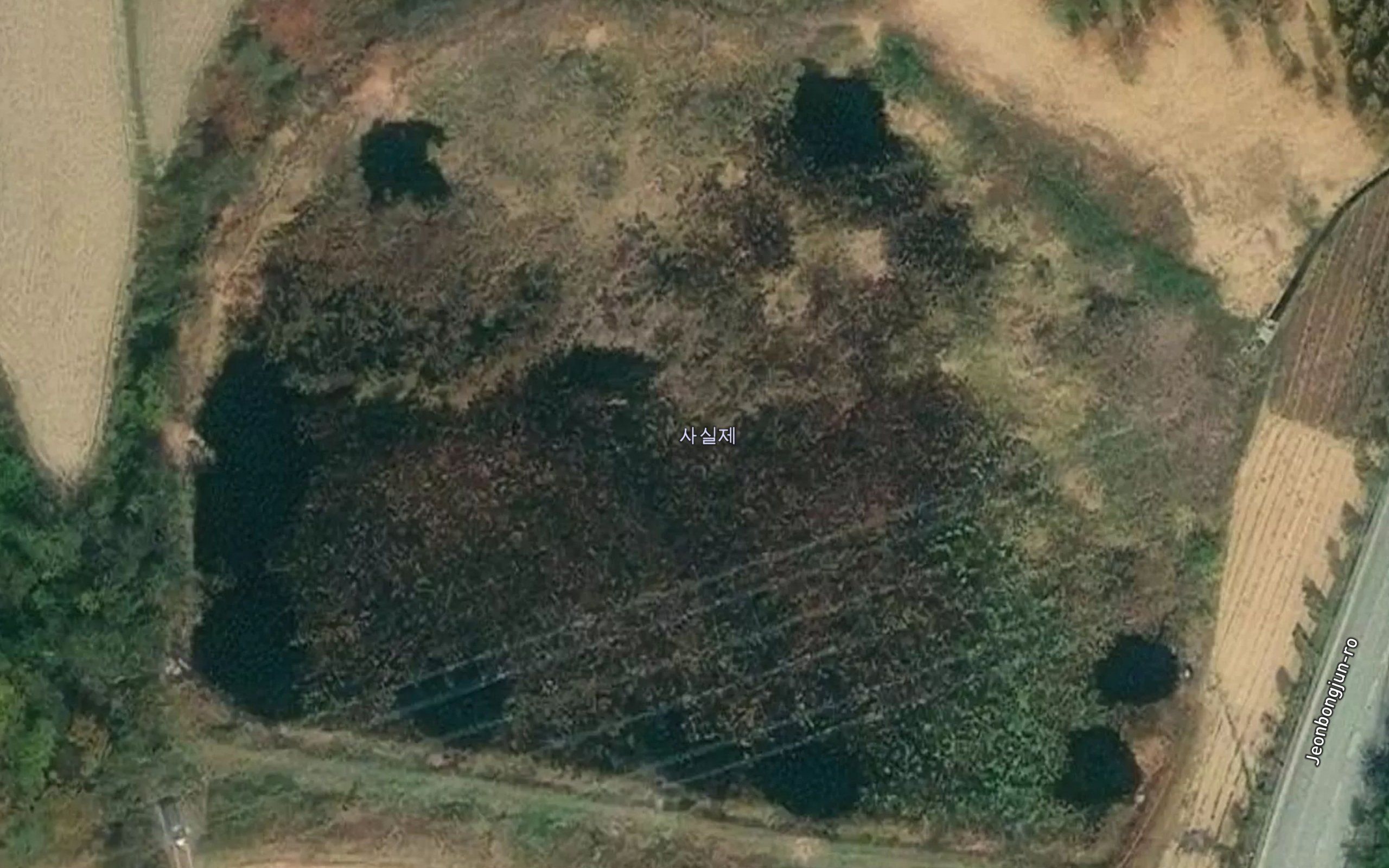 Sasilje