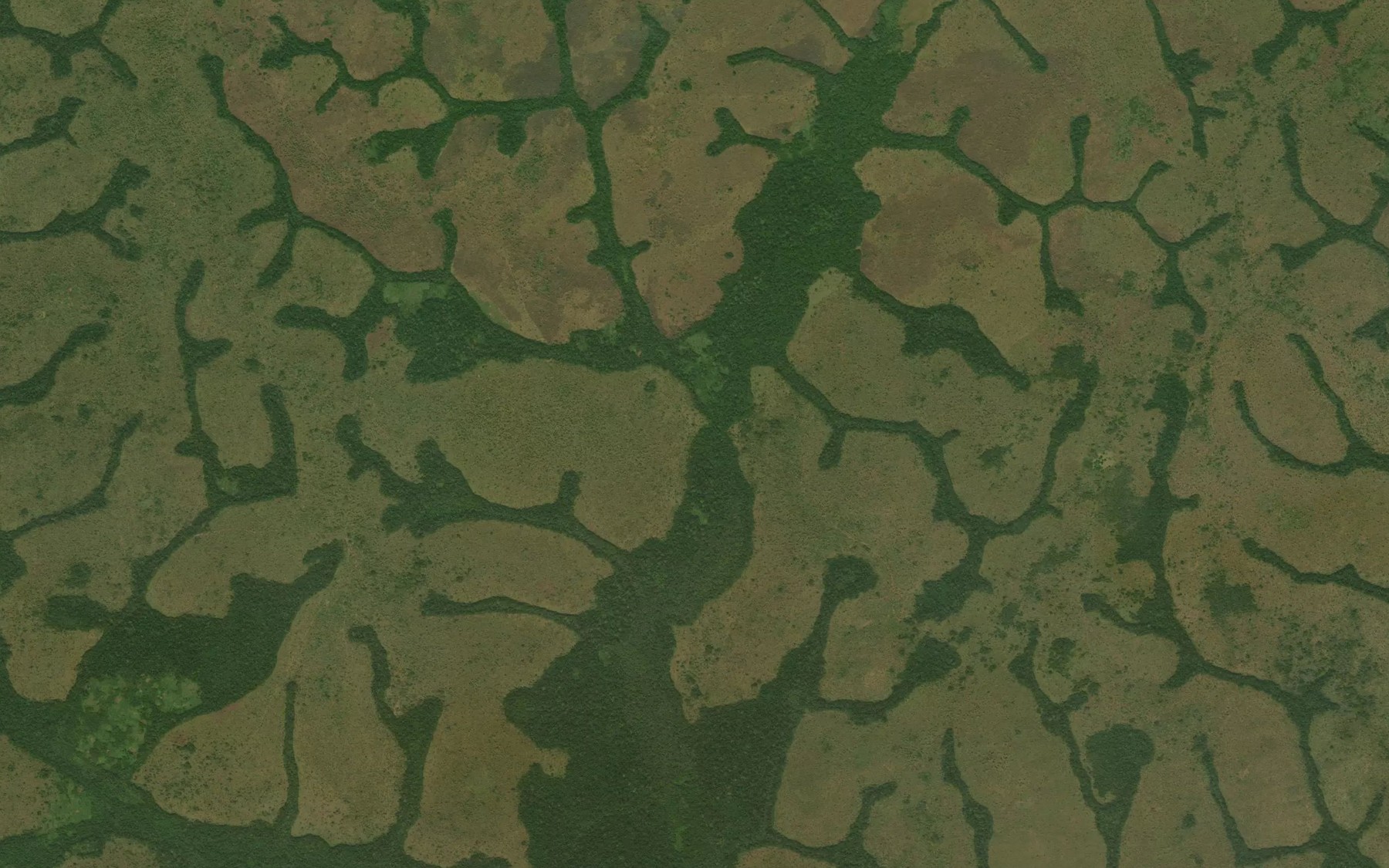 Satellite map of the Yamedono