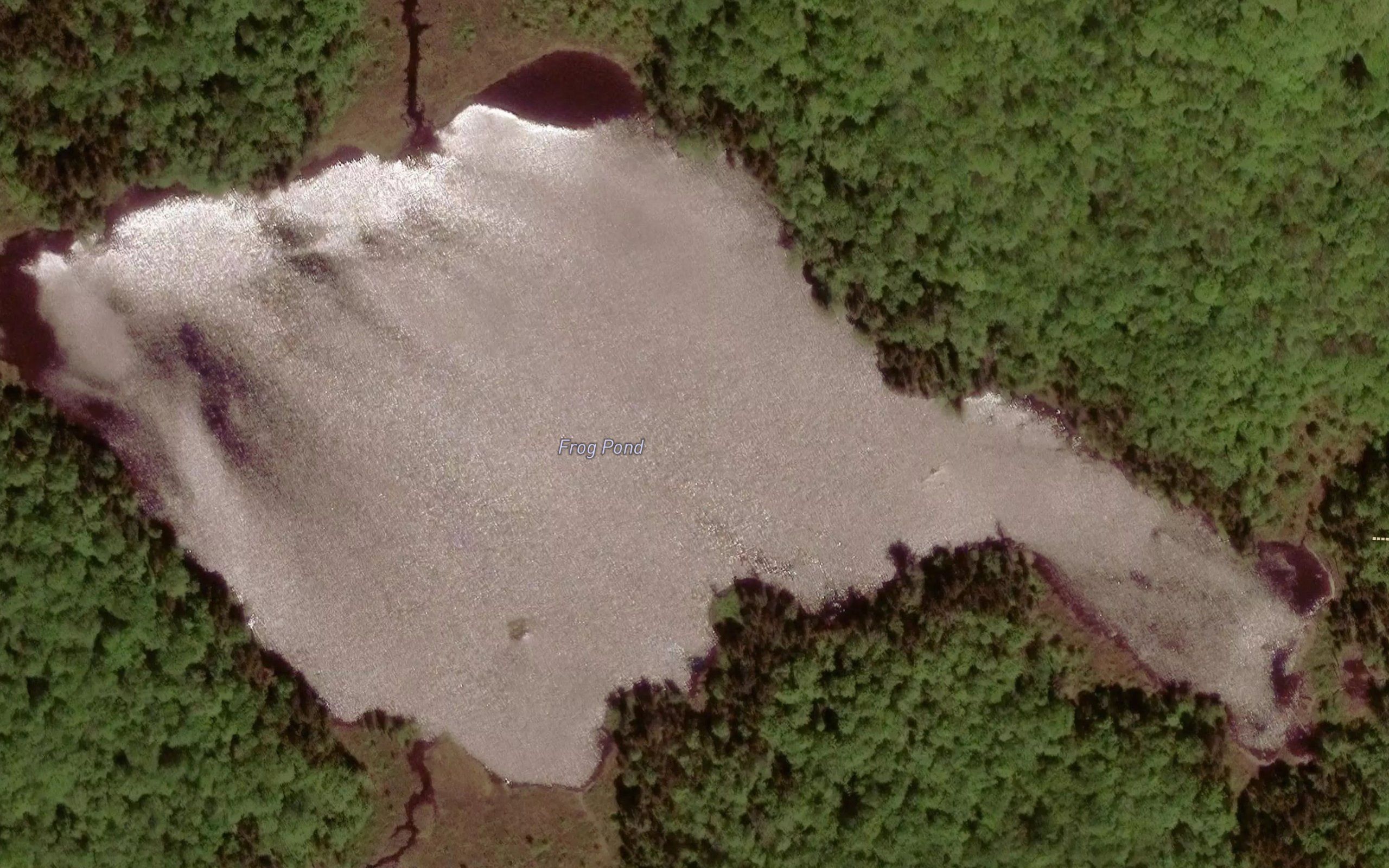 Frog Pond