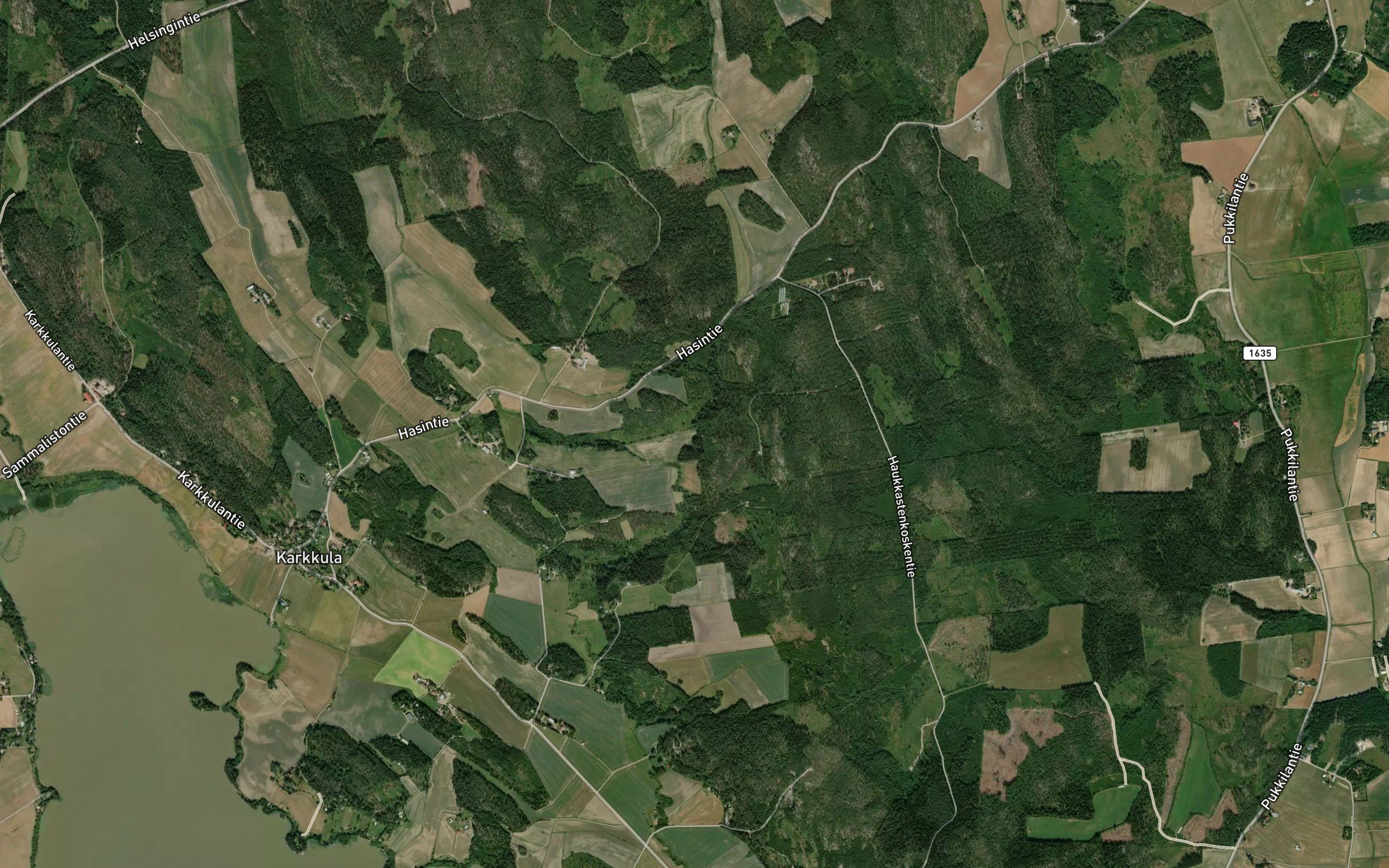 Isoniemenoja