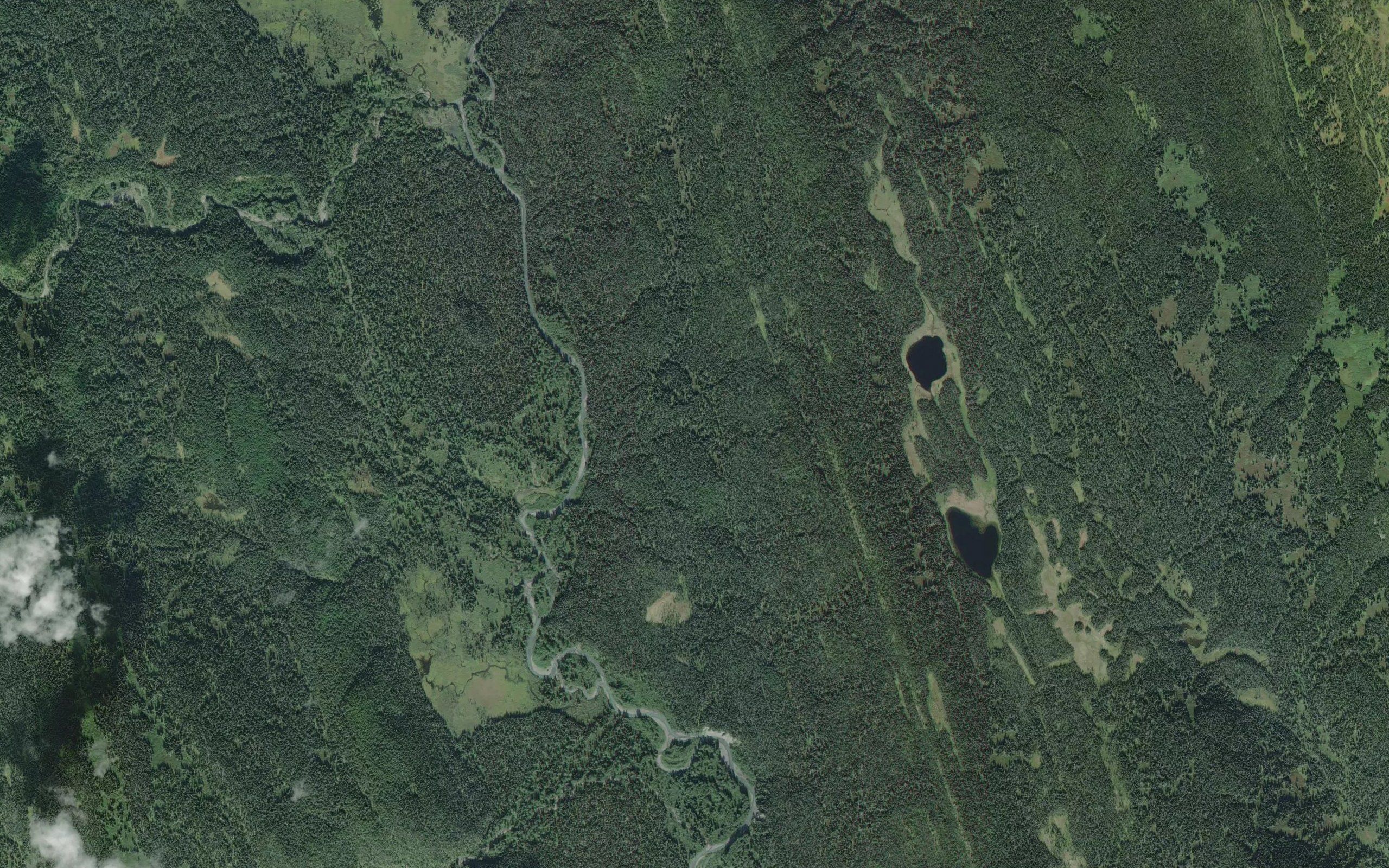 Damshilgwit Creek