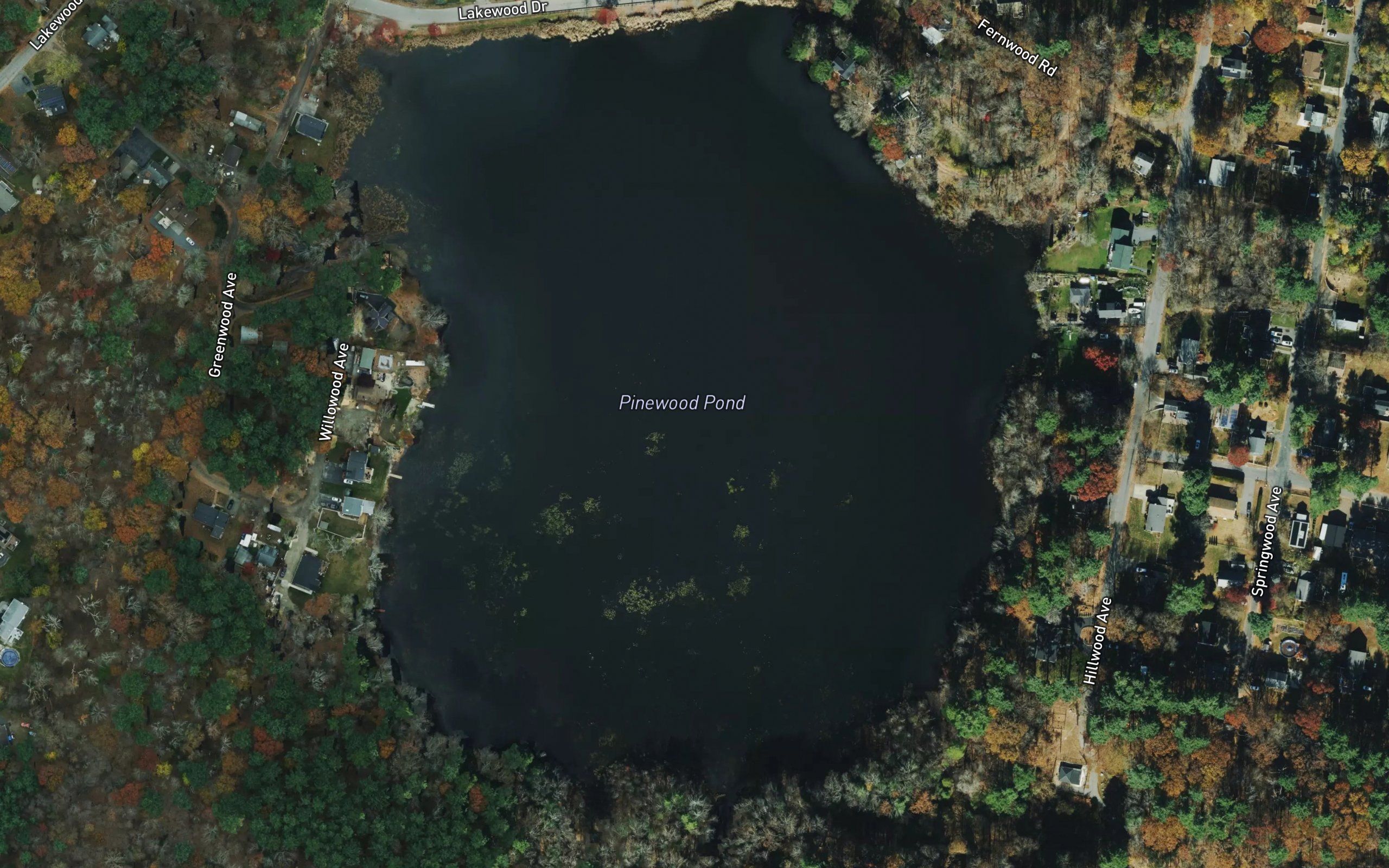 Pinewood Pond