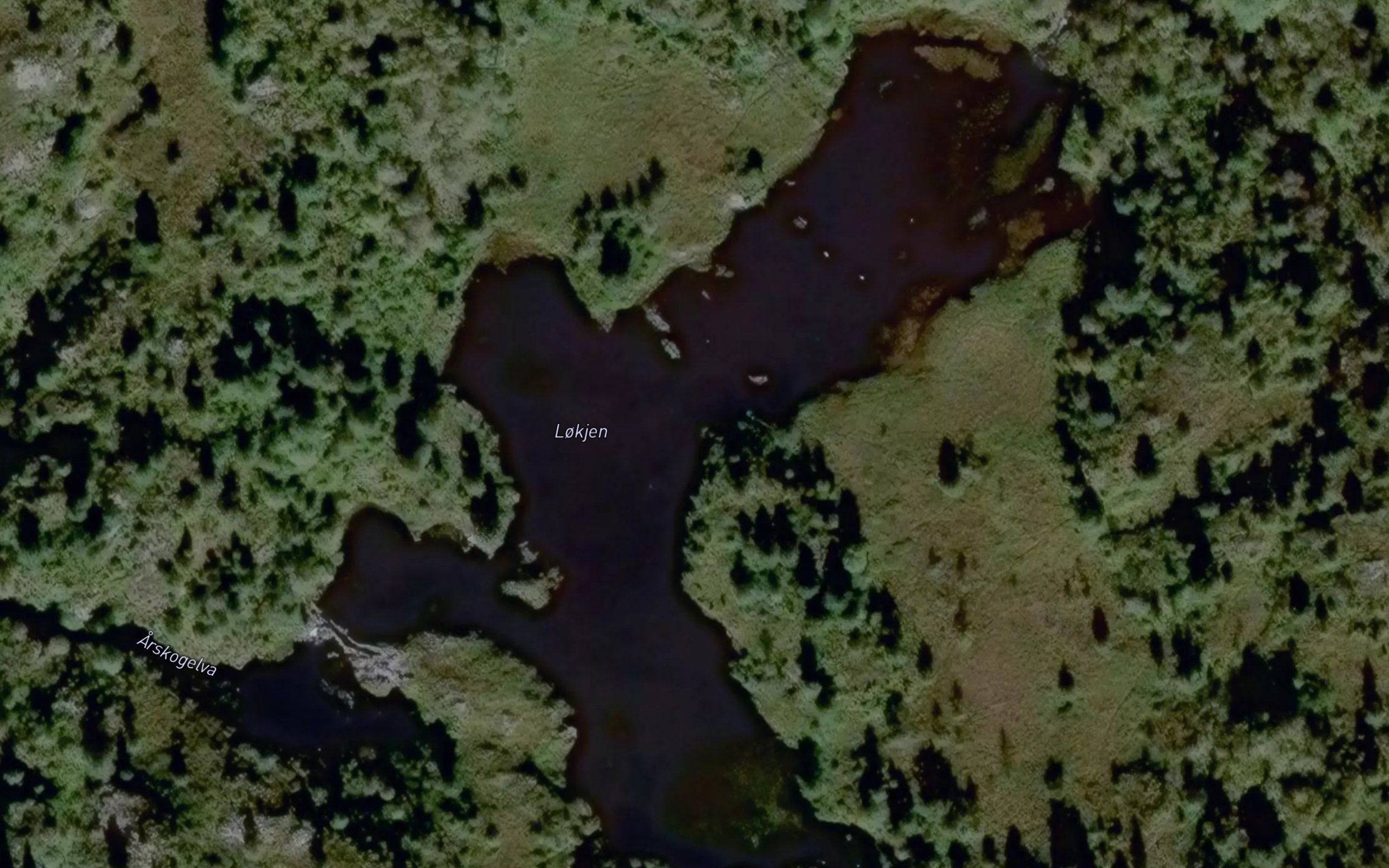 Lokjen