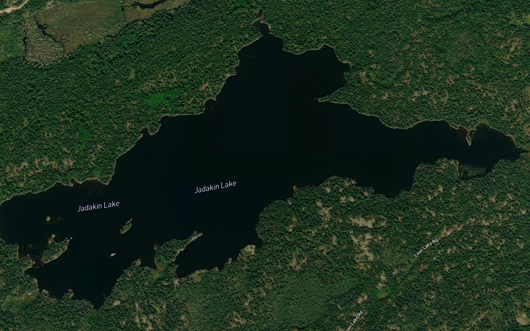 Satellite map of the Jadakin Lake