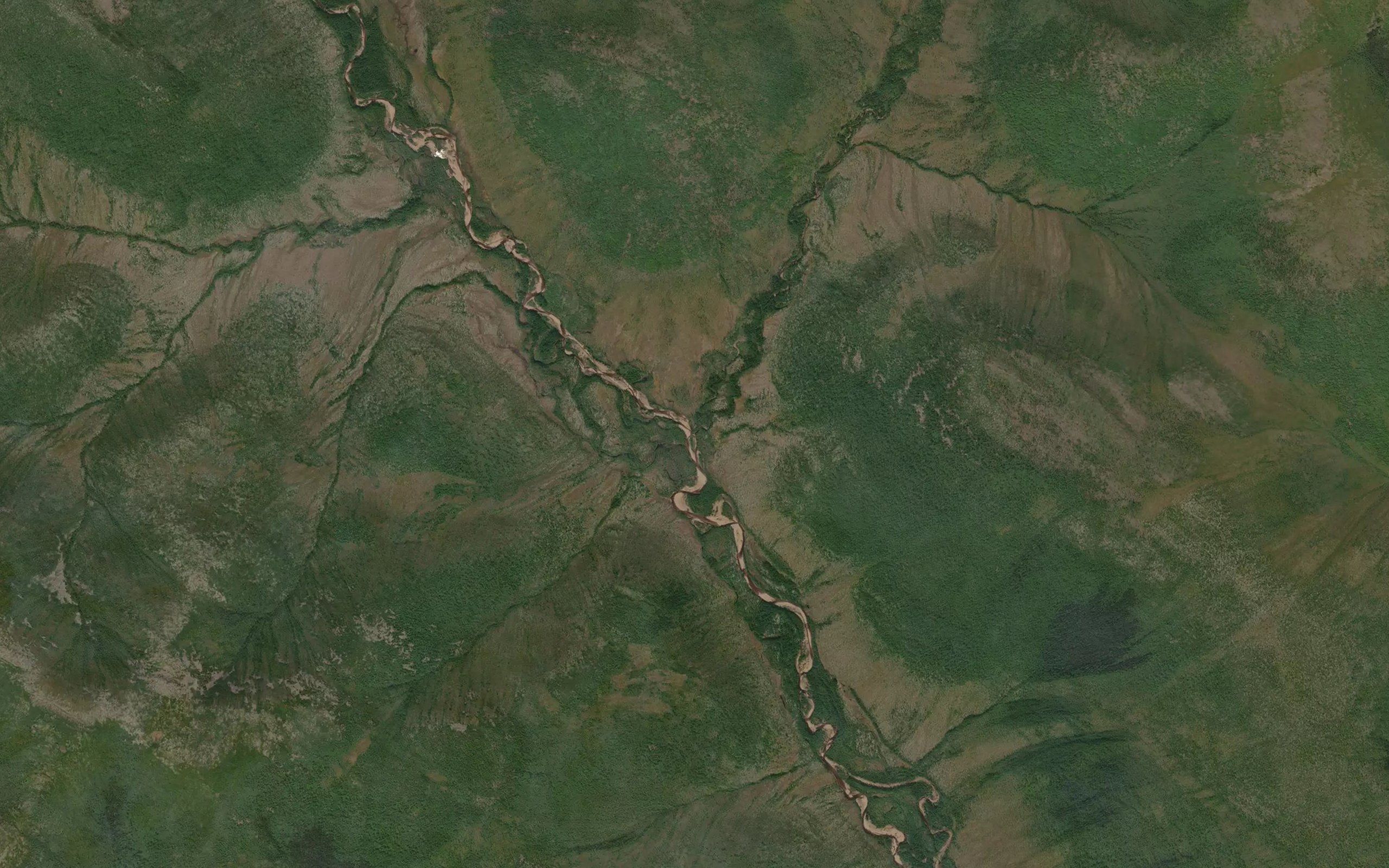 Diktangra