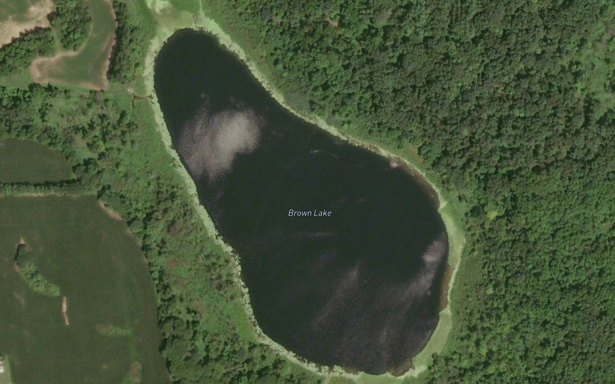 Brown Lake