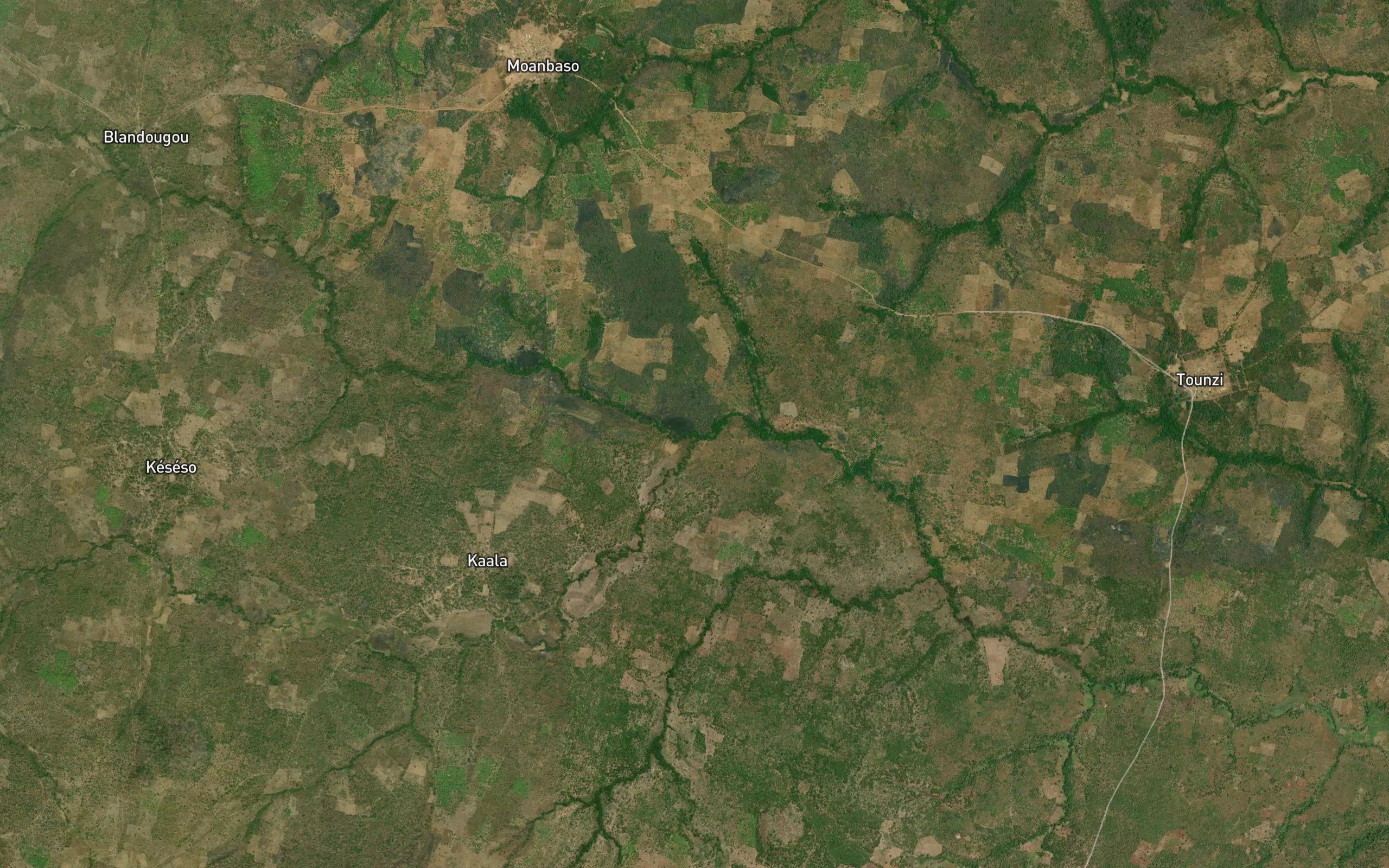 Bogoningwe