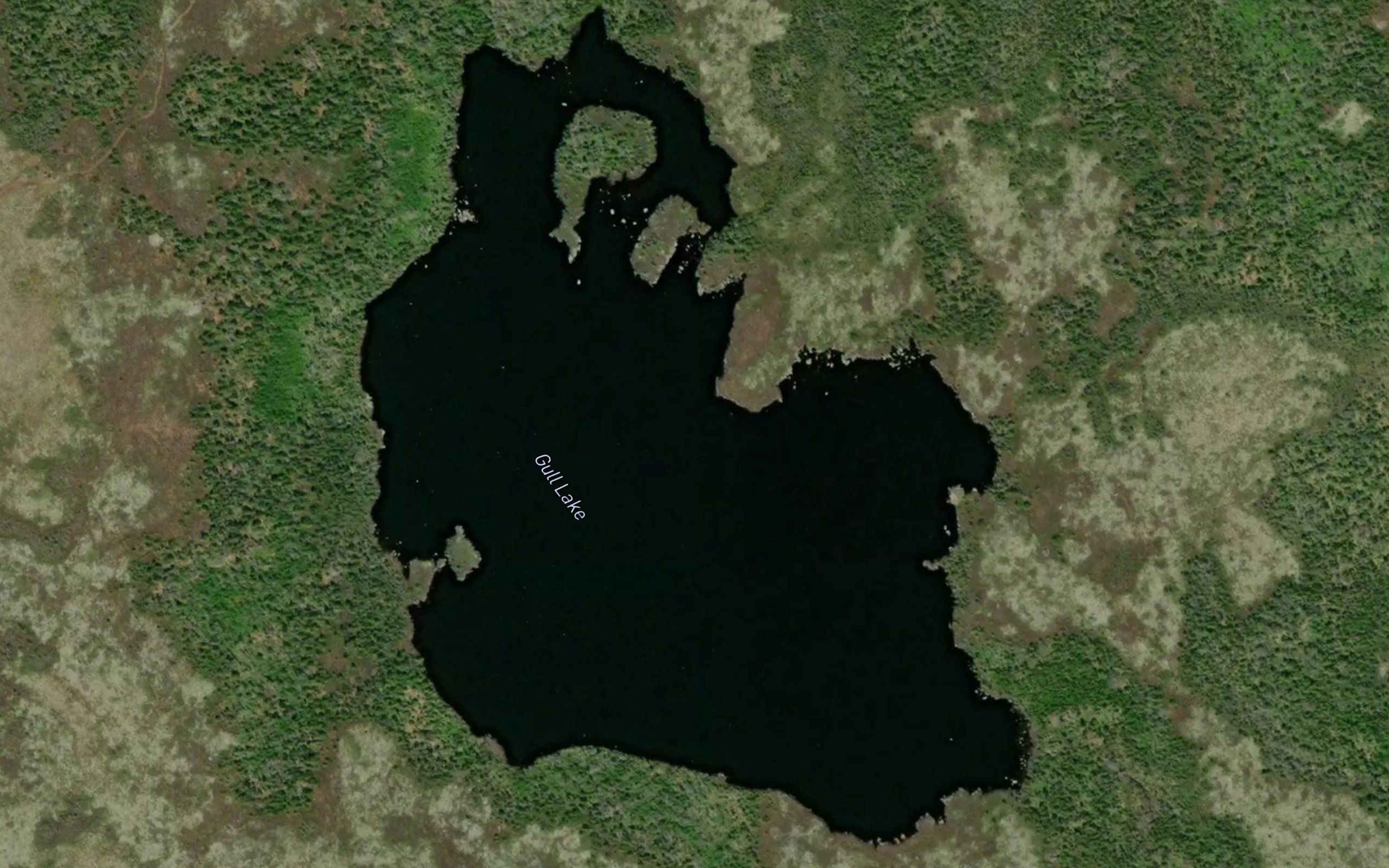 Gull Lake