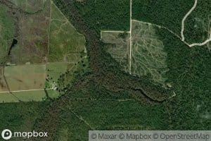 Simmons Creek