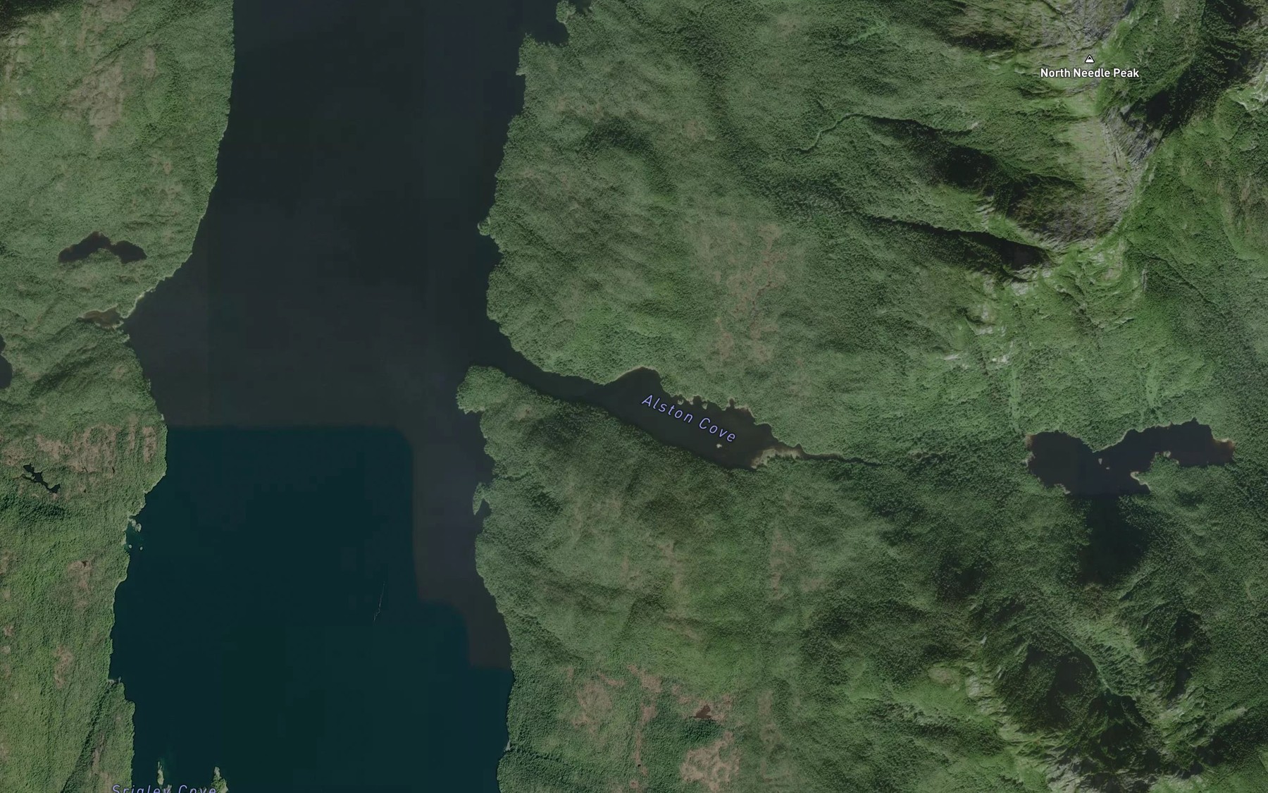 Satellite map of the Alston Cove