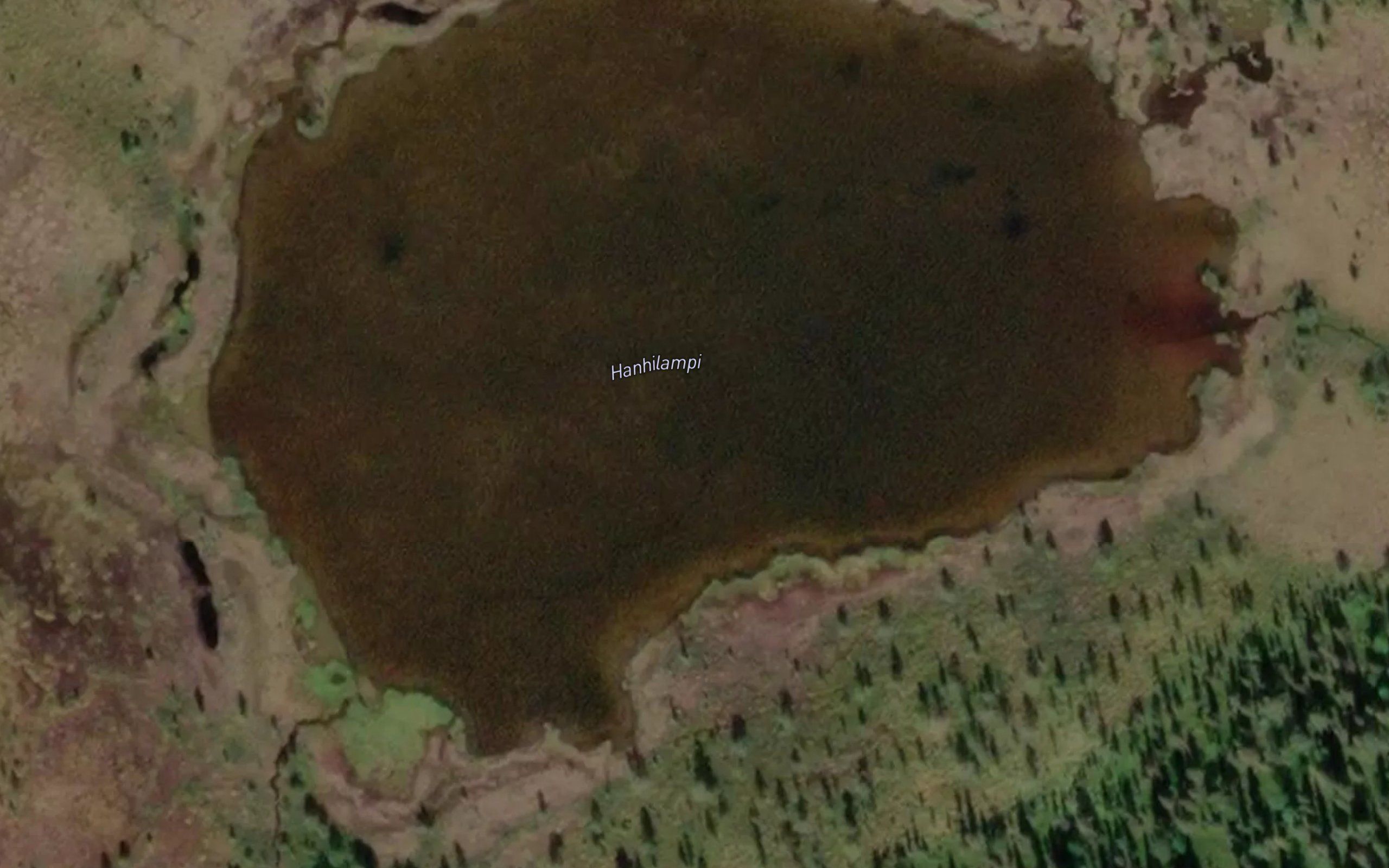 Hanhilampi