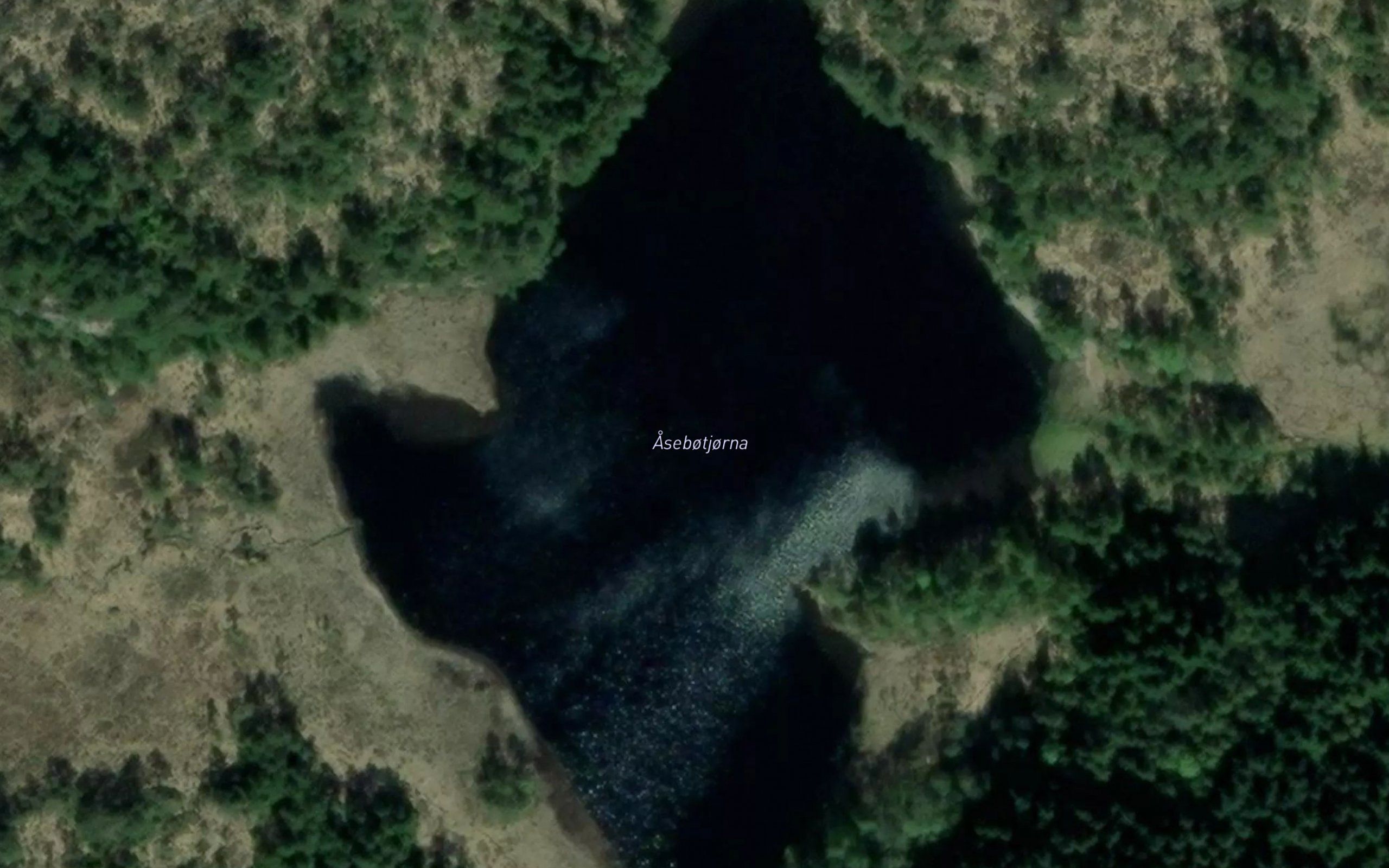 Asebotjorni