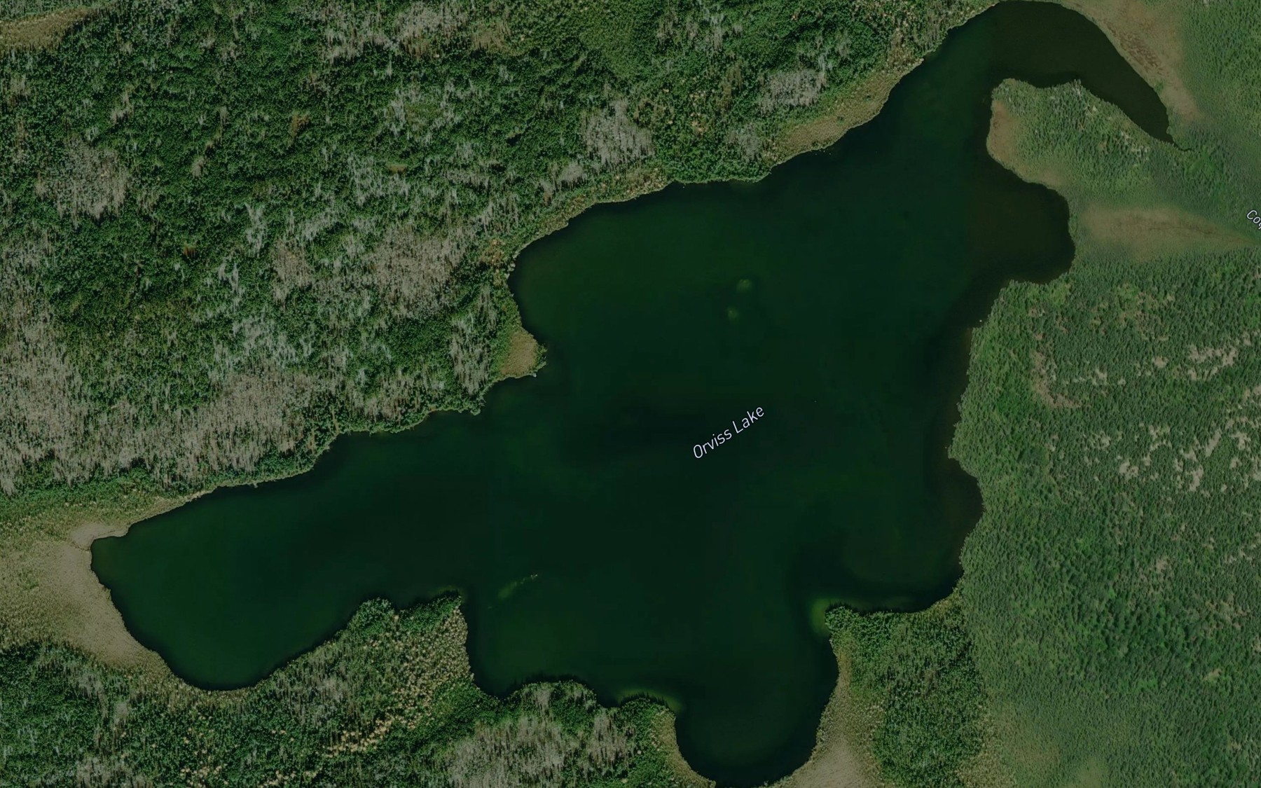 Satellite map of the Orviss Lake
