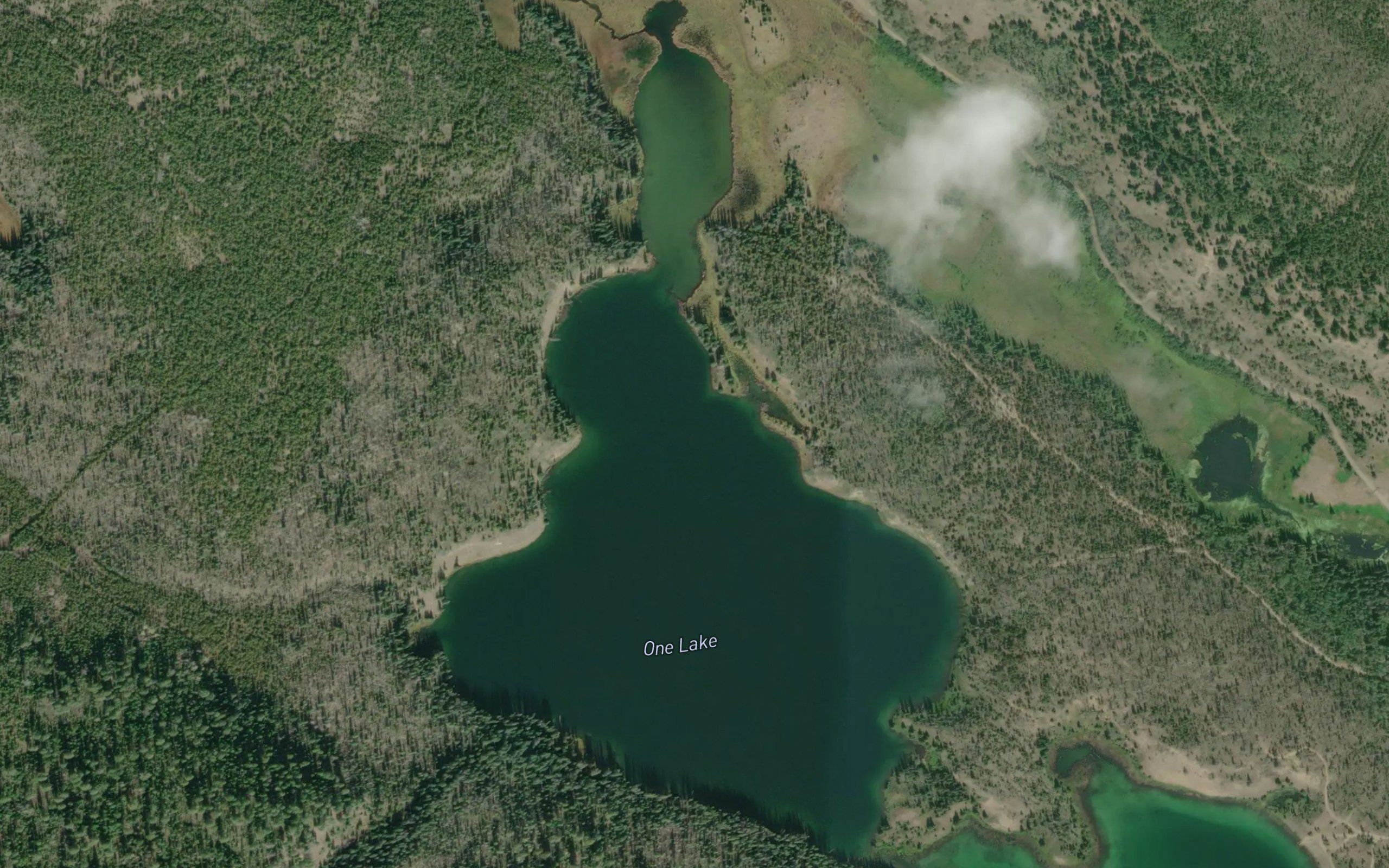 One Lake