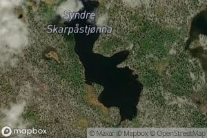 Syndre Skarpastjonna