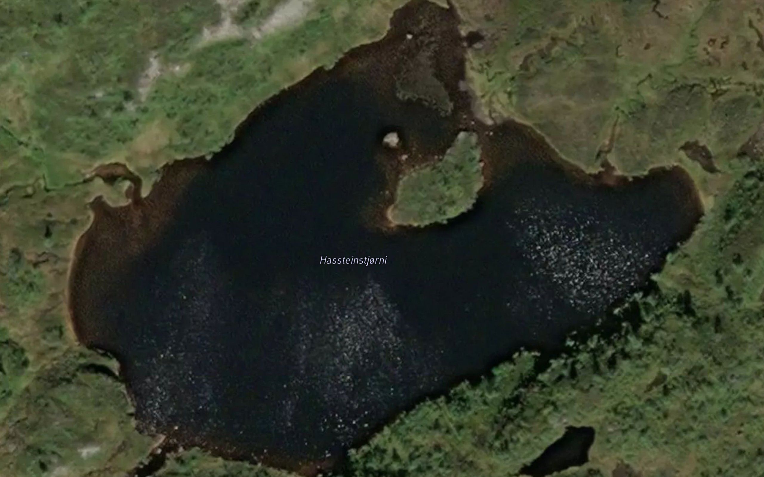 Hassteinstjorni