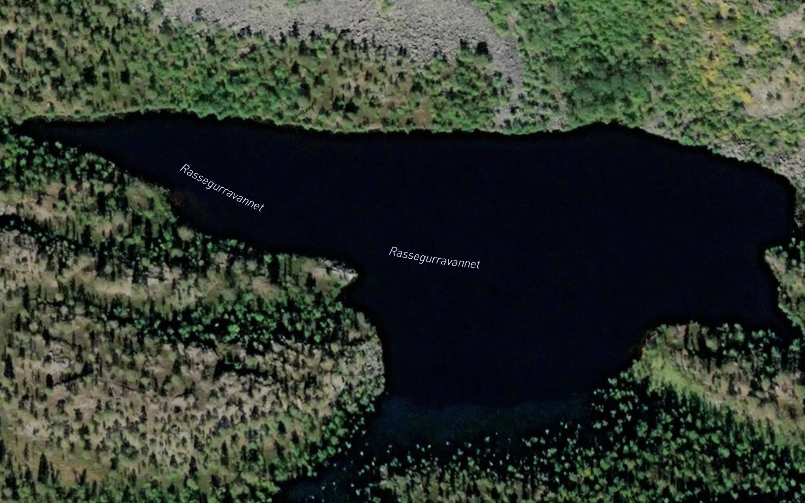 Rassegurravannet