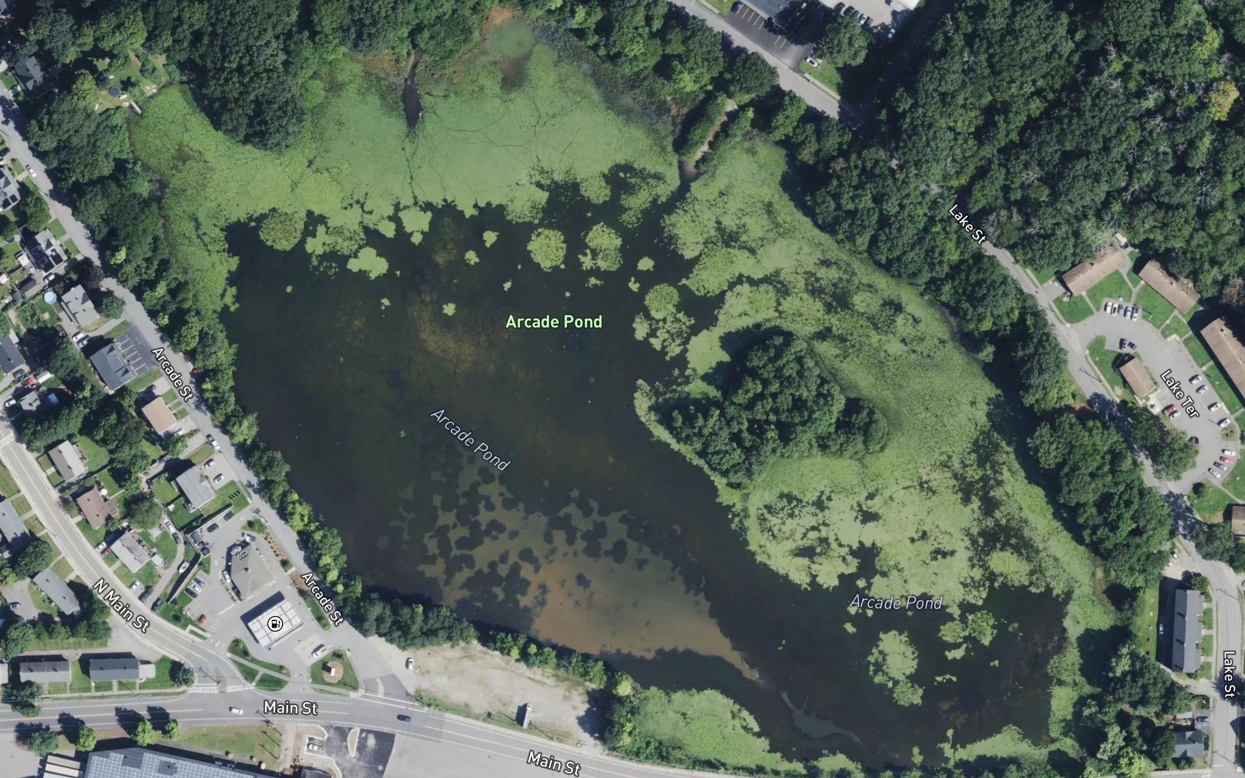 Arcade Pond