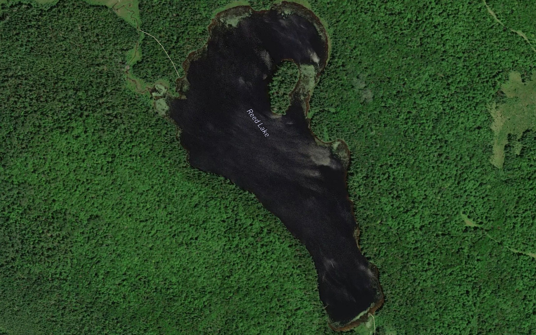 Satellite map of the Reed Lake