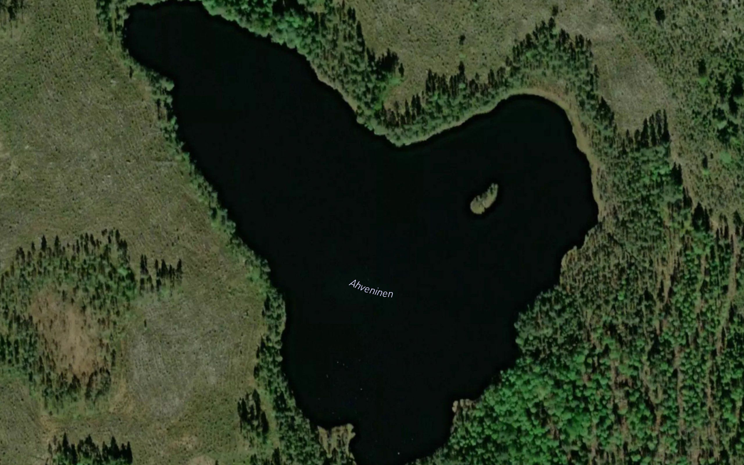 Ahveninen