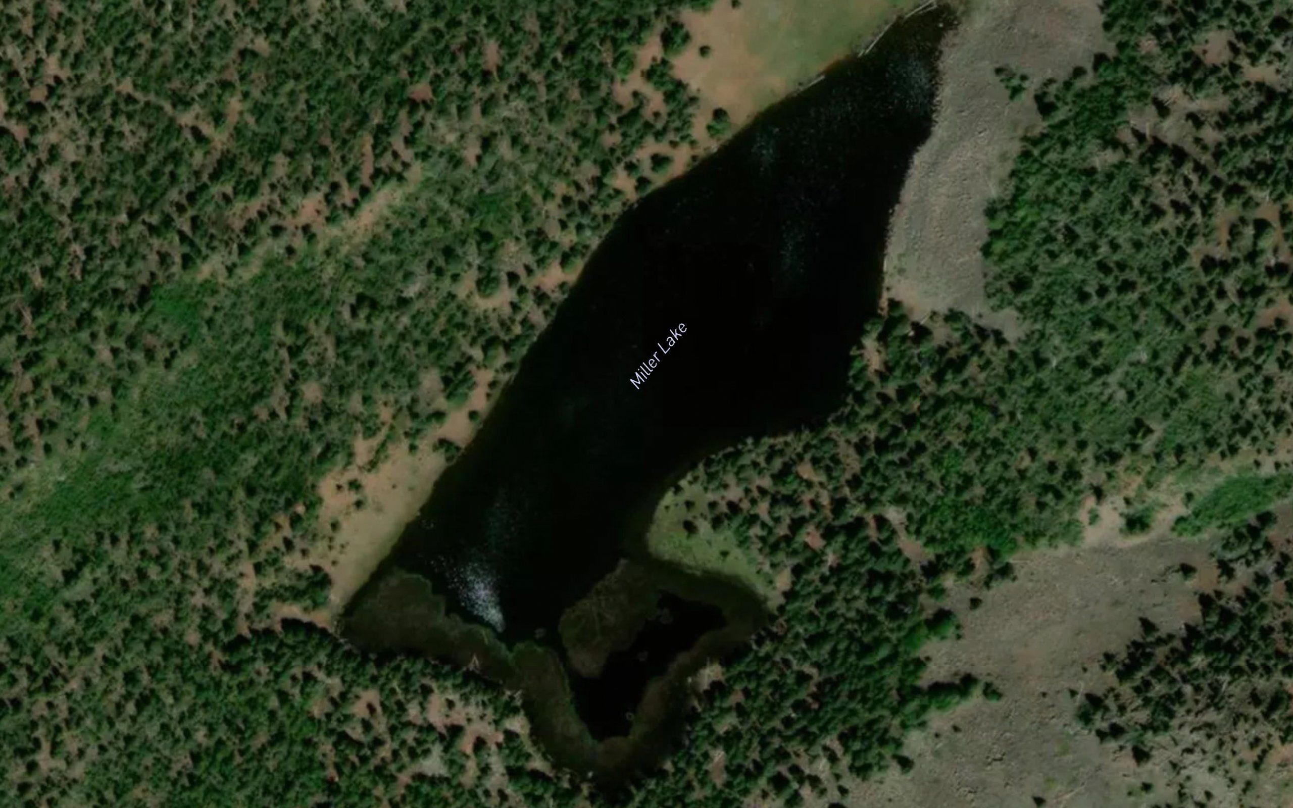 Miller Lake