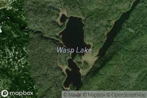 Wasp Lake